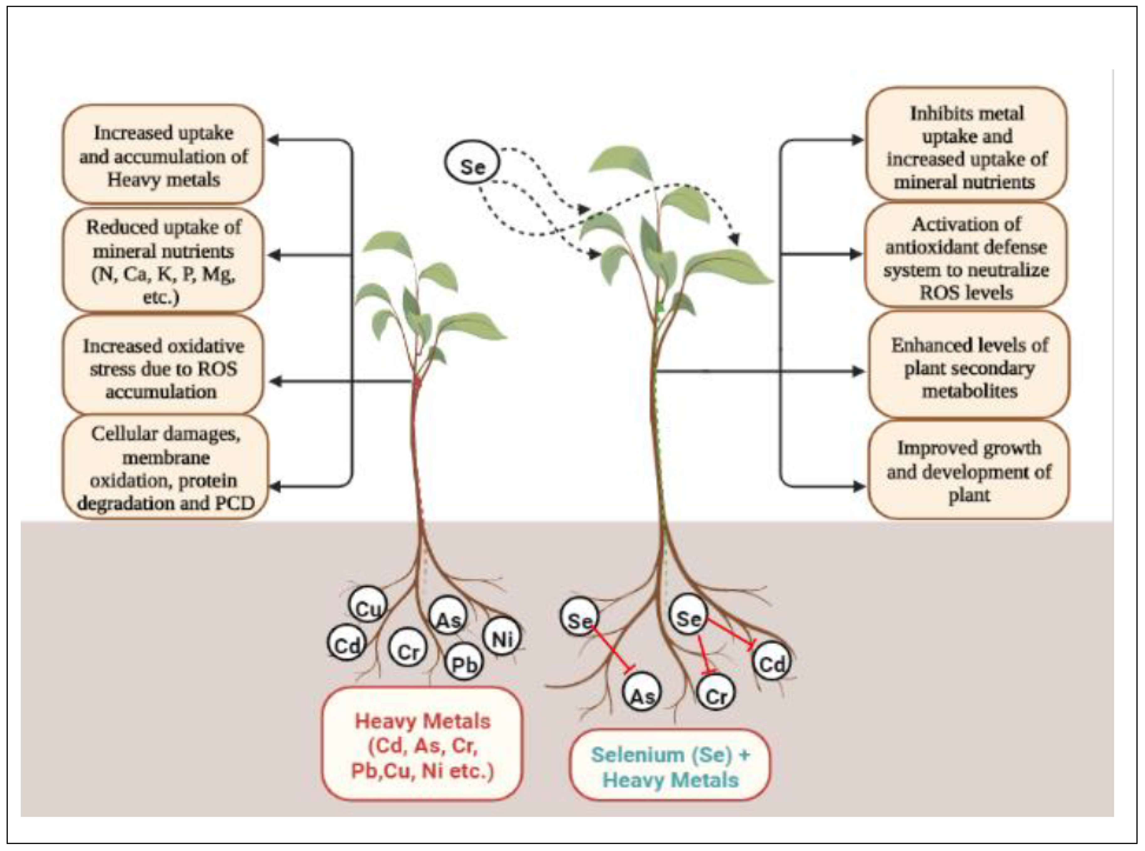 Preprints 71457 g001