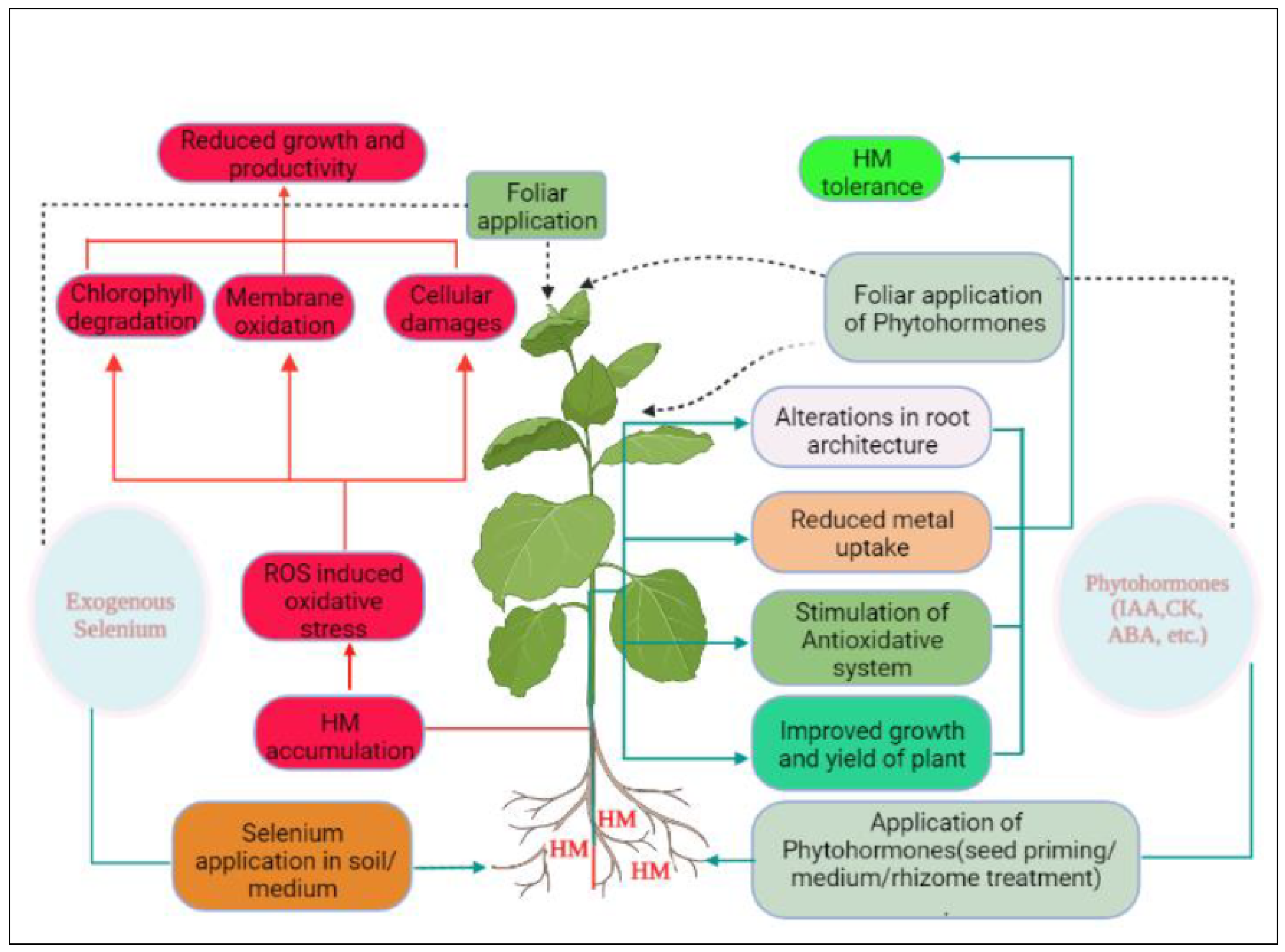 Preprints 71457 g002