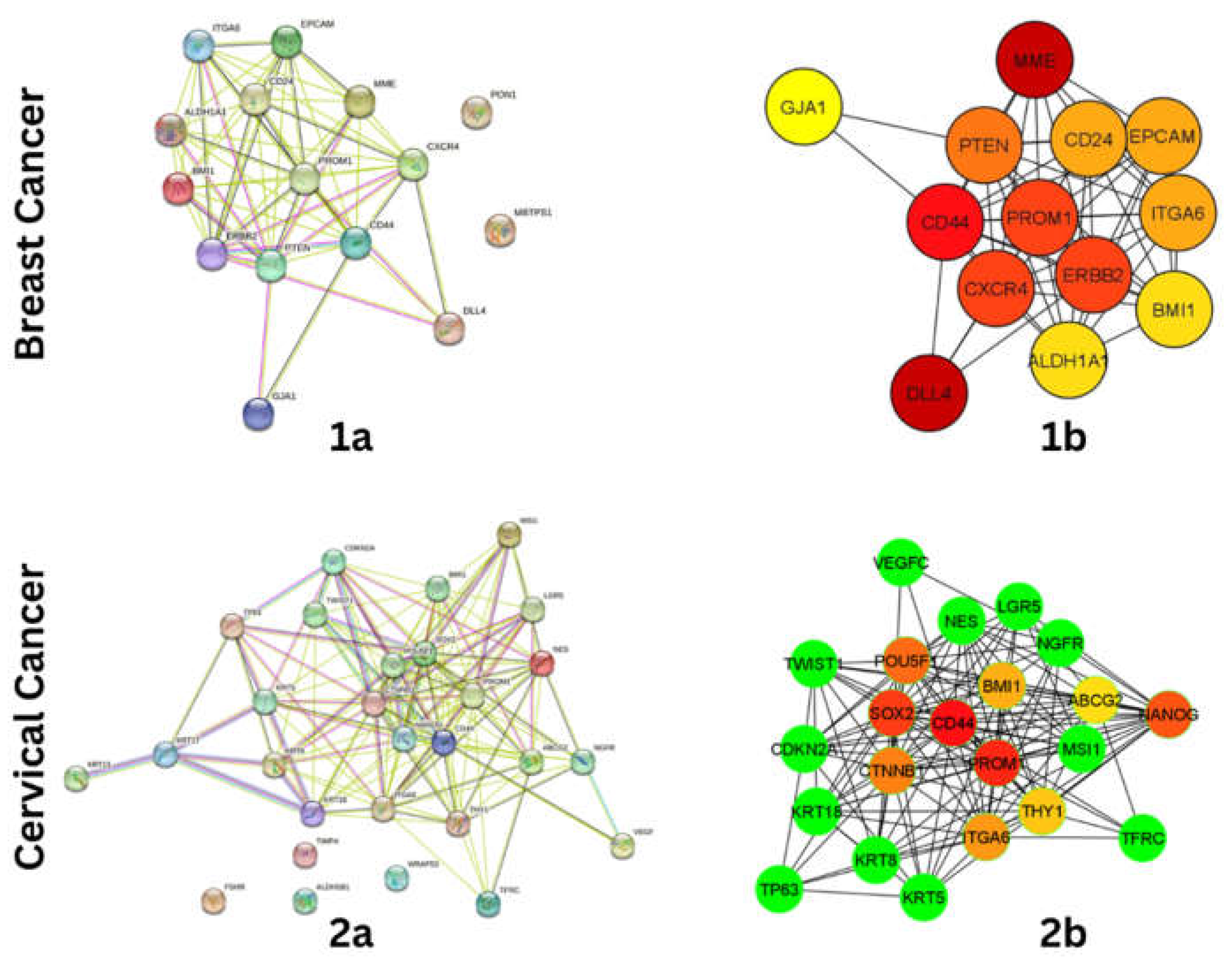 Preprints 70380 g001
