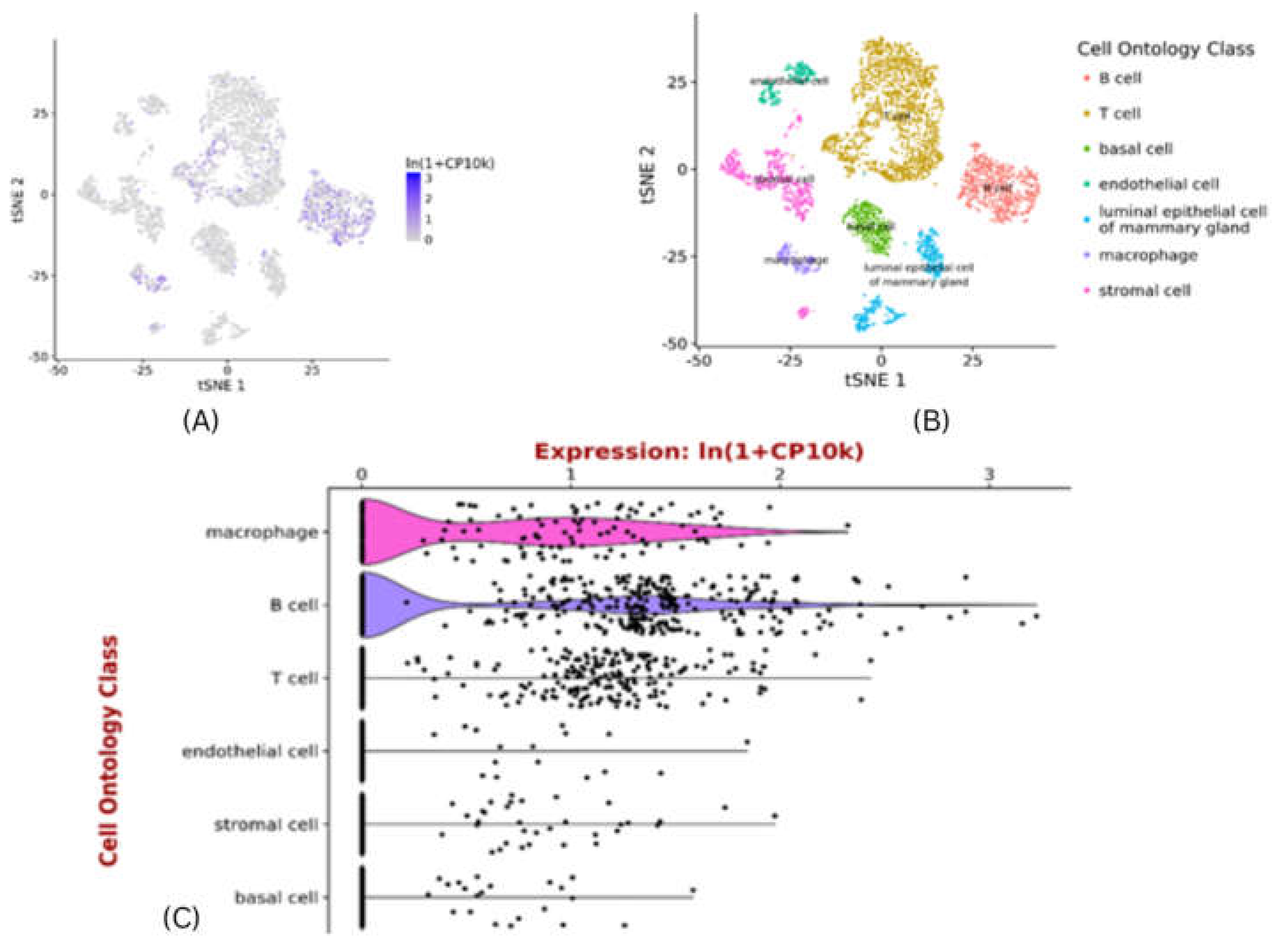 Preprints 70380 g008