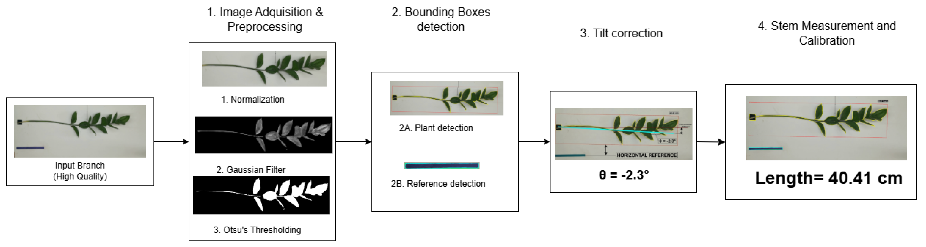 Preprints 219733 g003
