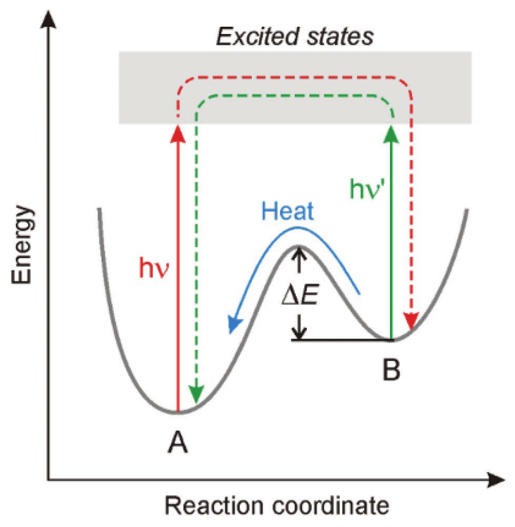 Preprints 110993 g004