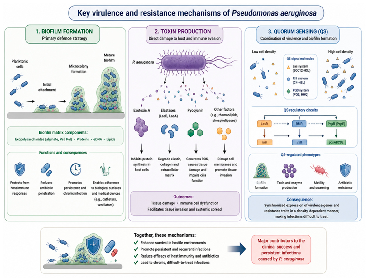 Preprints 229099 g001 Preprints 229099 g001