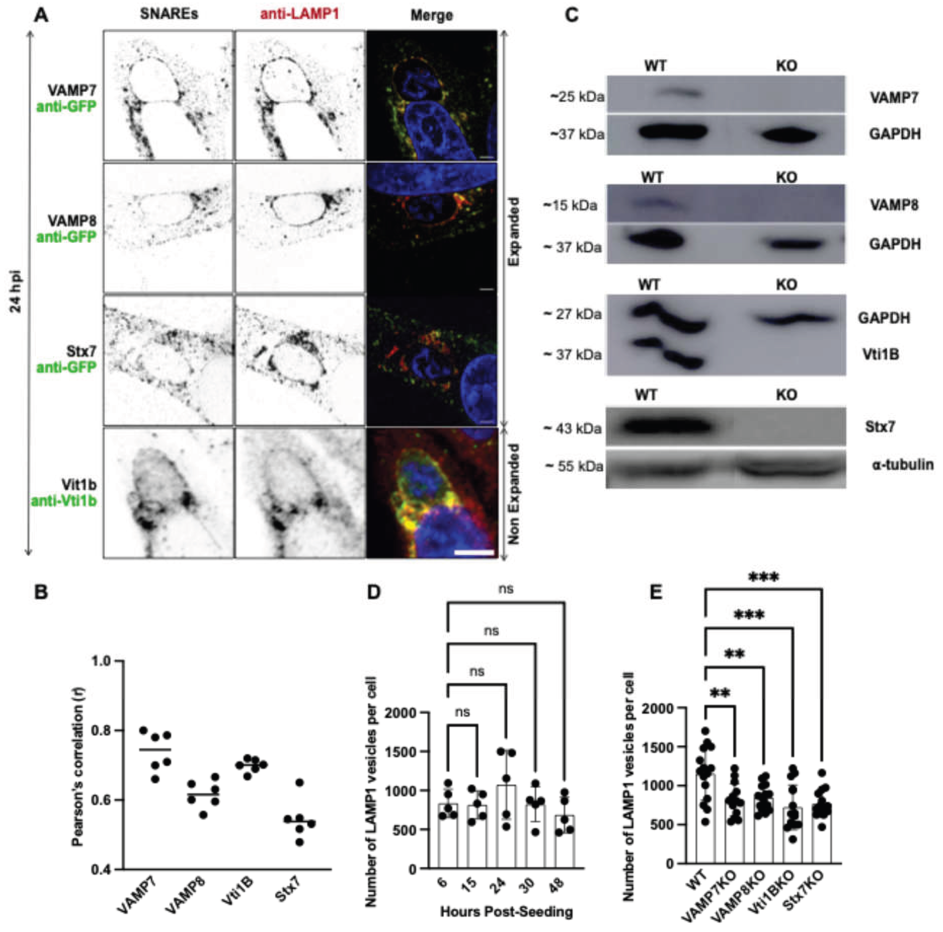 Preprints 198893 g002