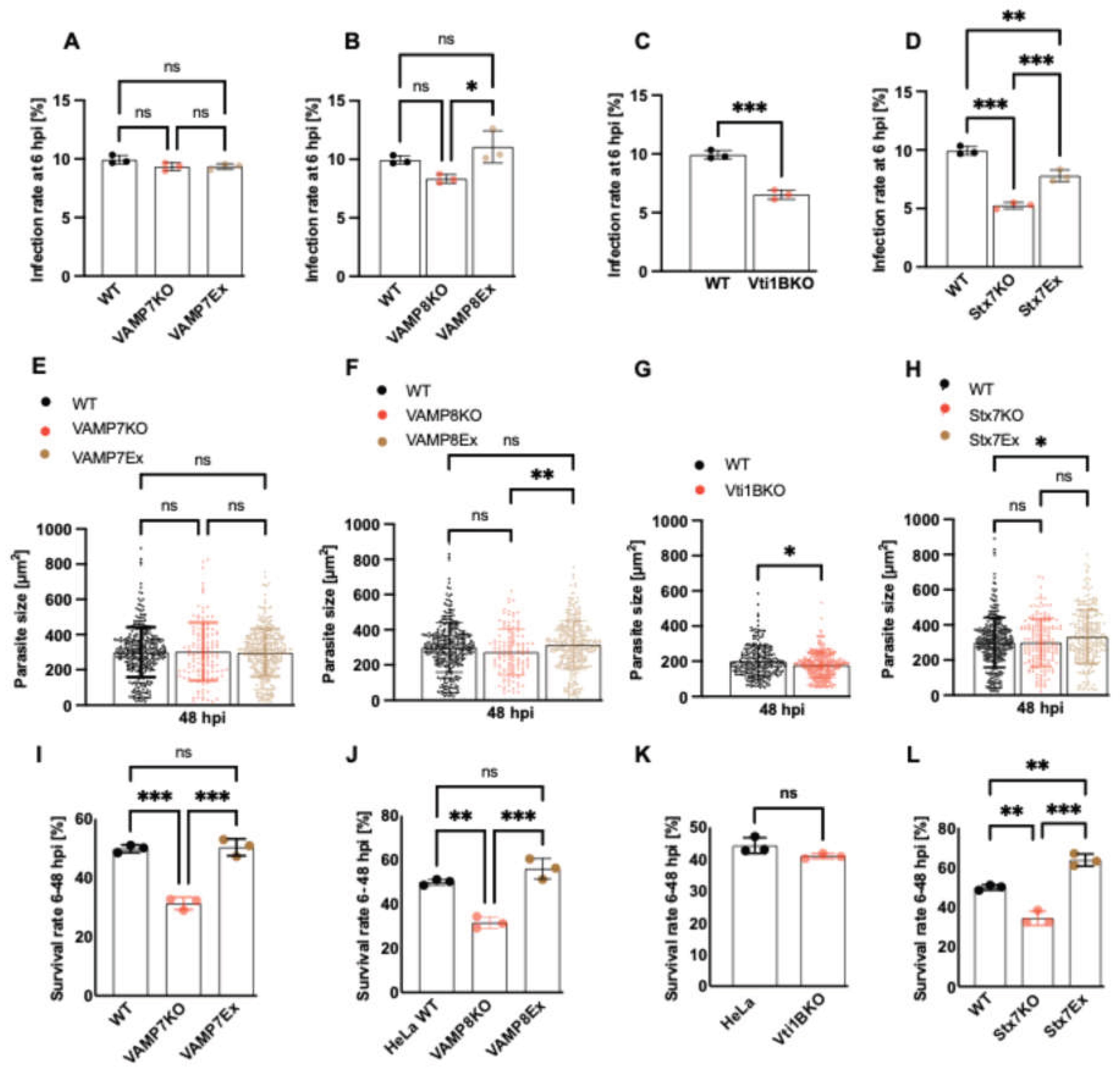 Preprints 198893 g003