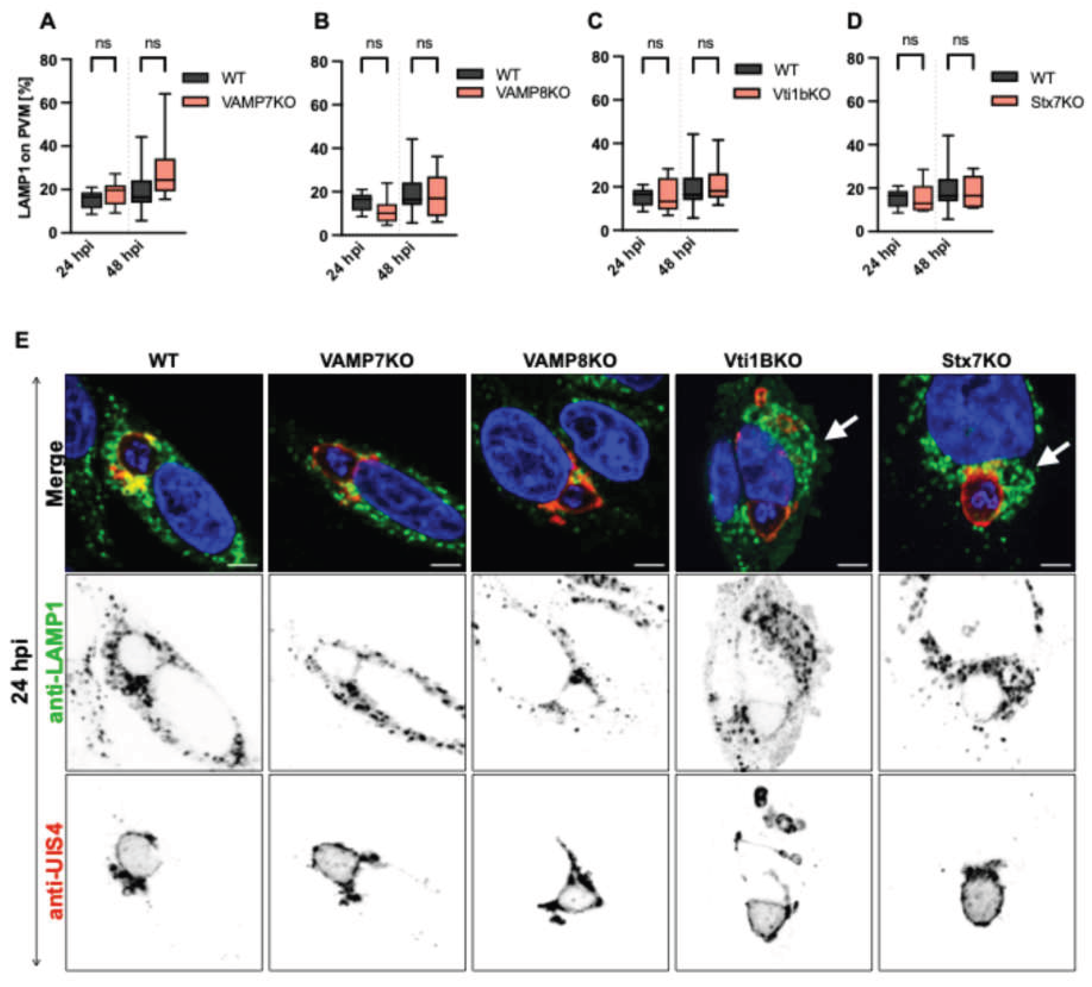 Preprints 198893 g004