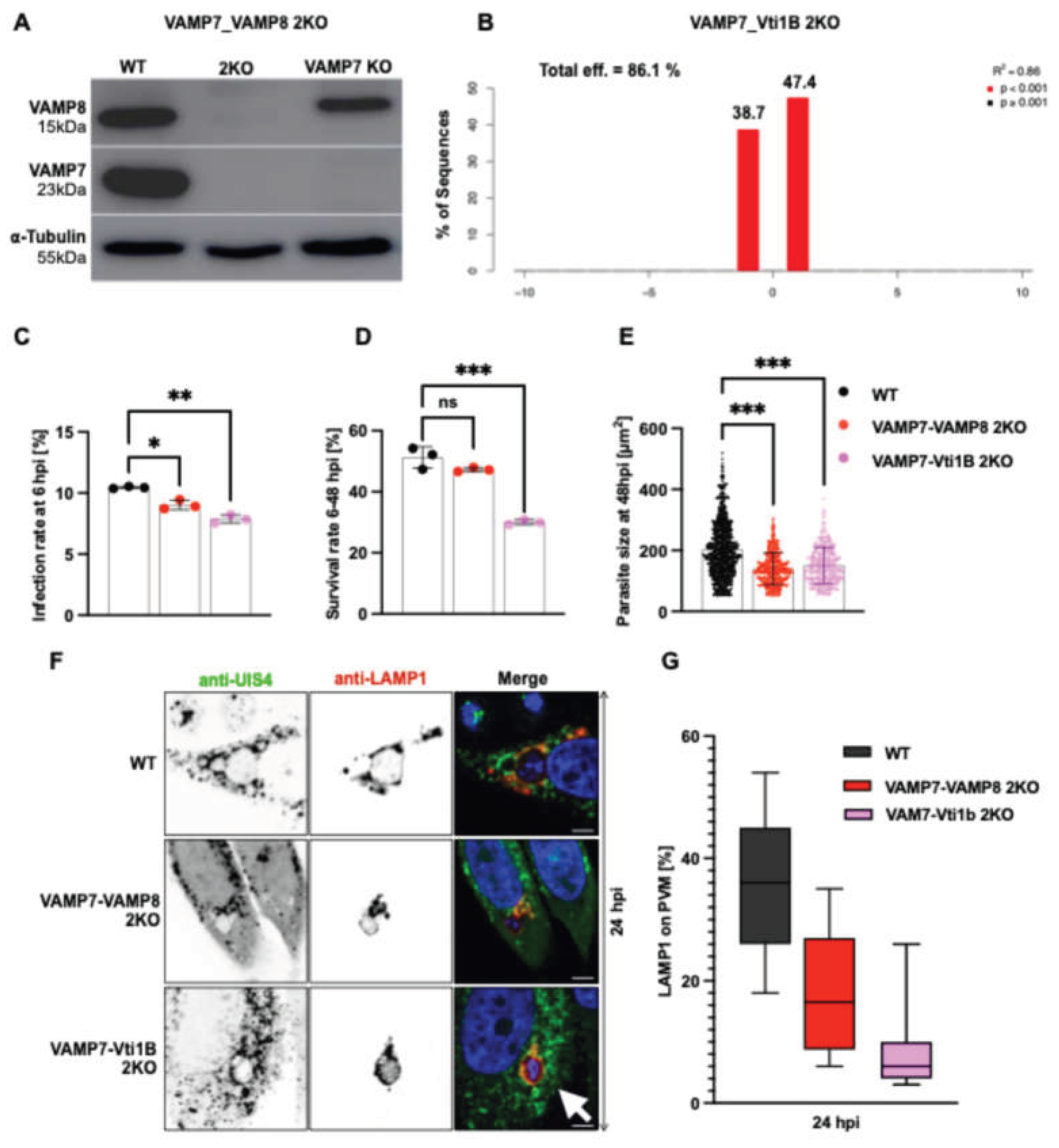 Preprints 198893 g005