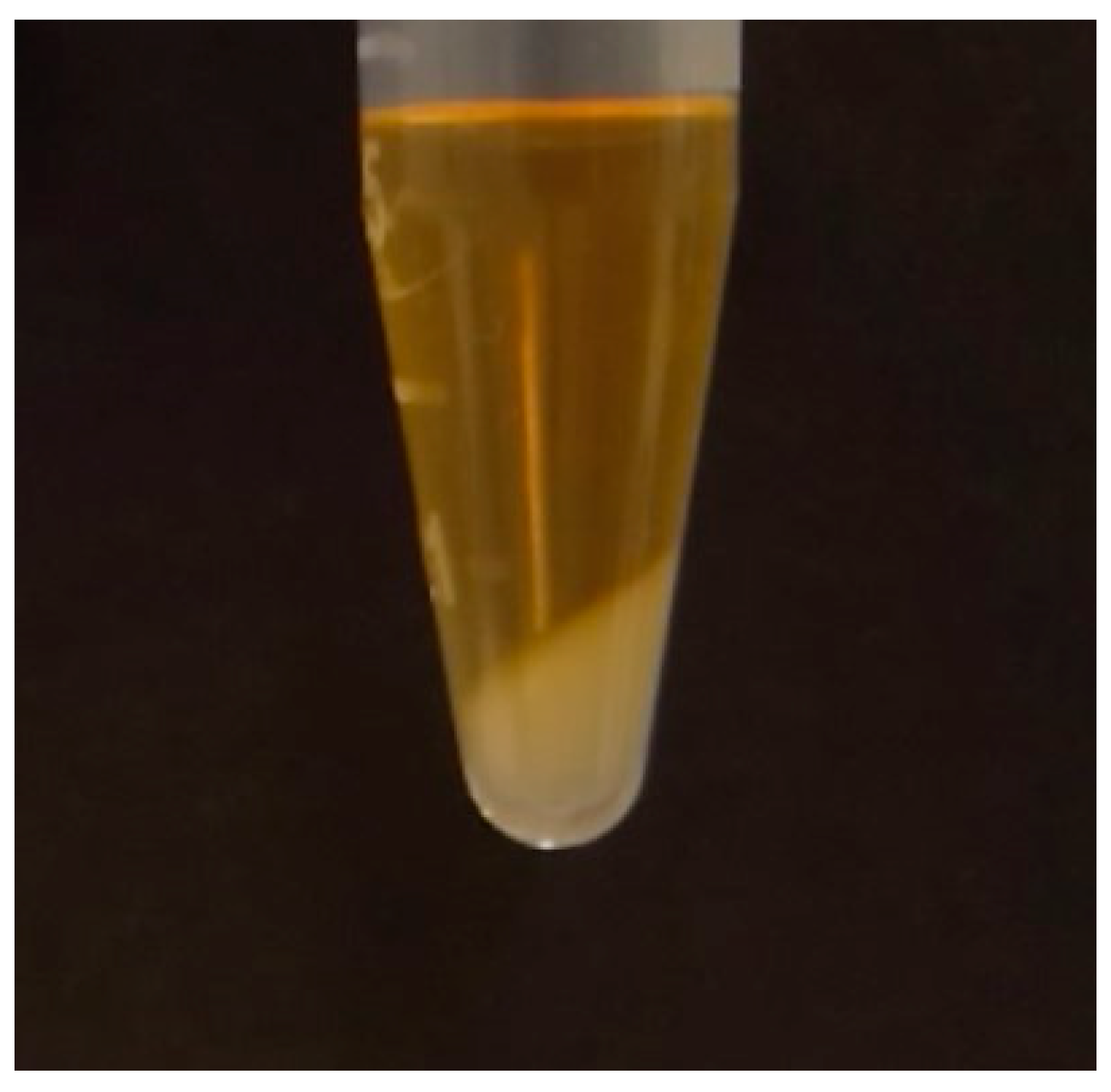 Preprints 76185 g003