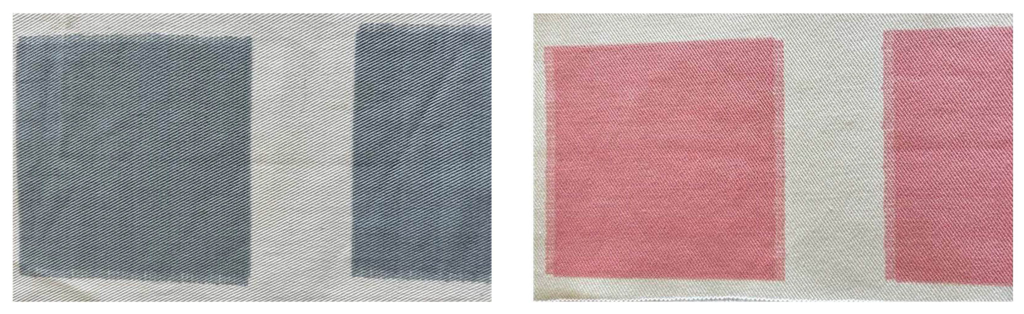 Preprints 161052 g002