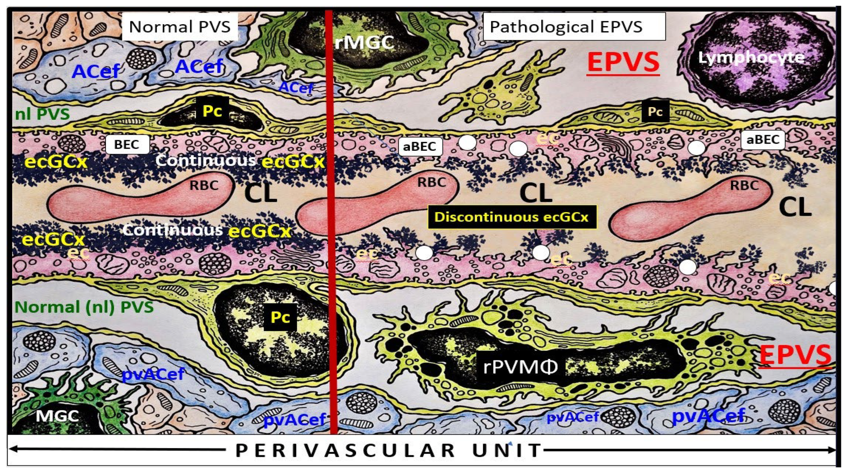 Preprints 92886 g006