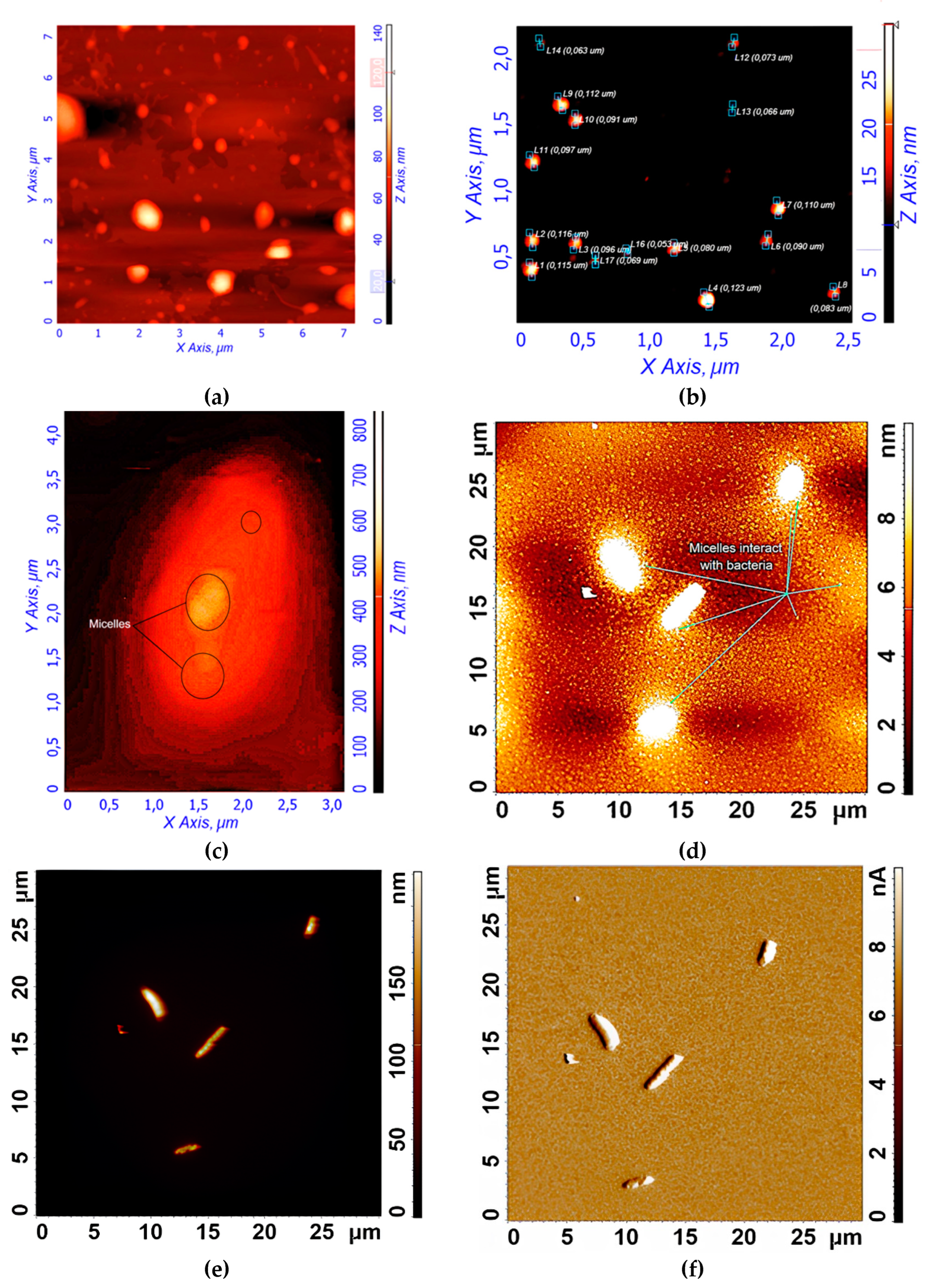 Preprints 149479 g003