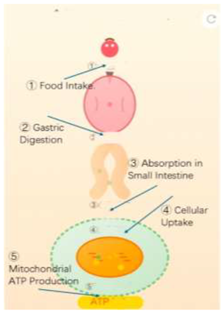 Preprints 194857 i001