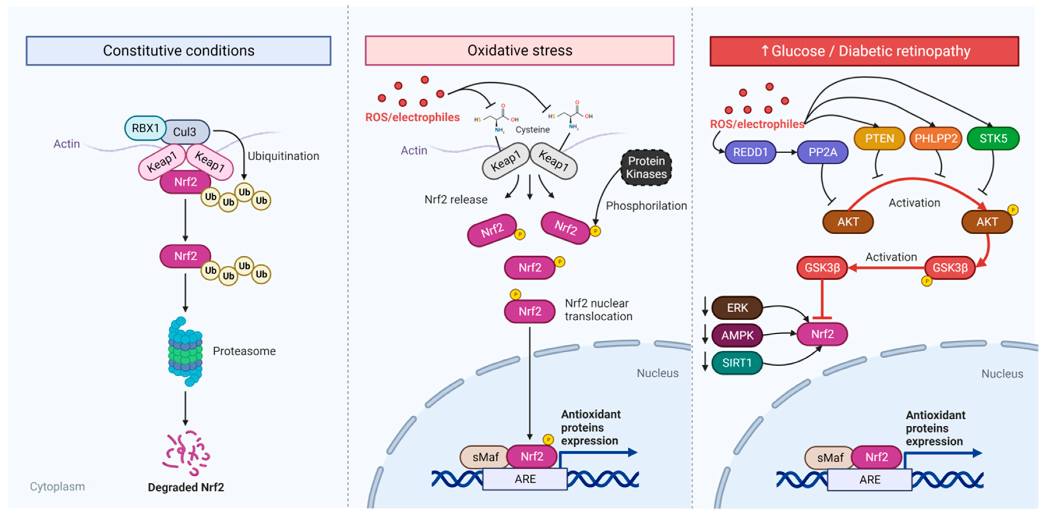 Preprints 94184 g002