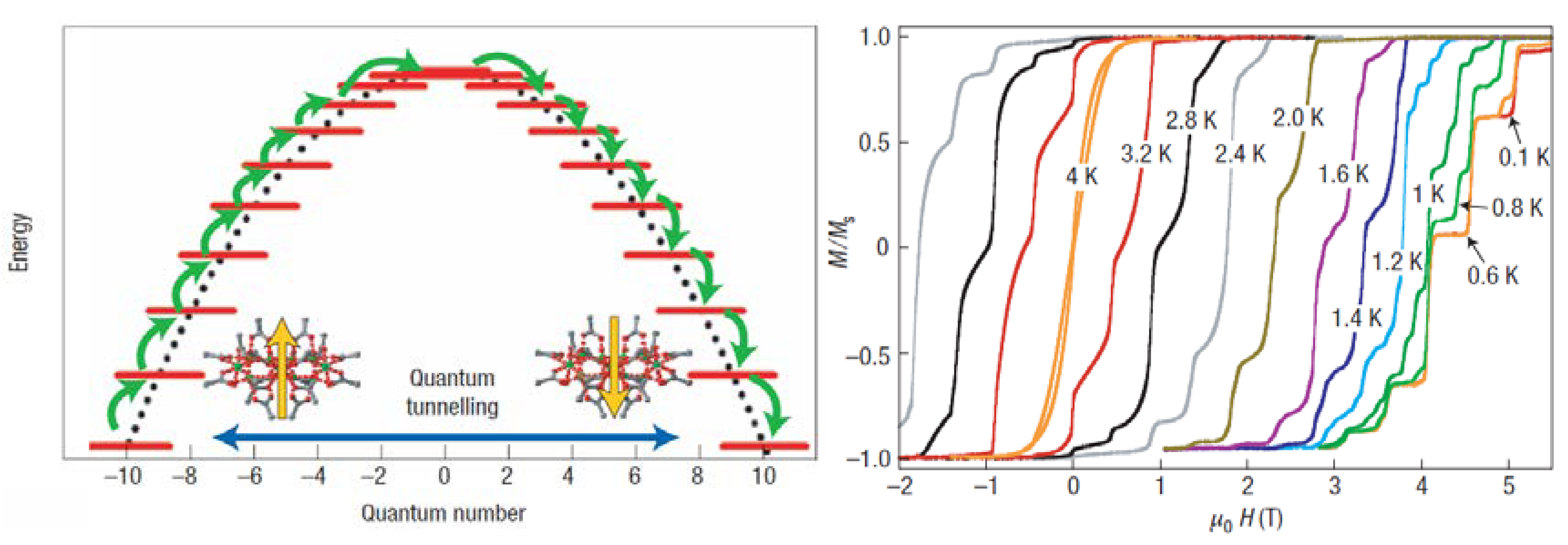 Preprints 76946 g002