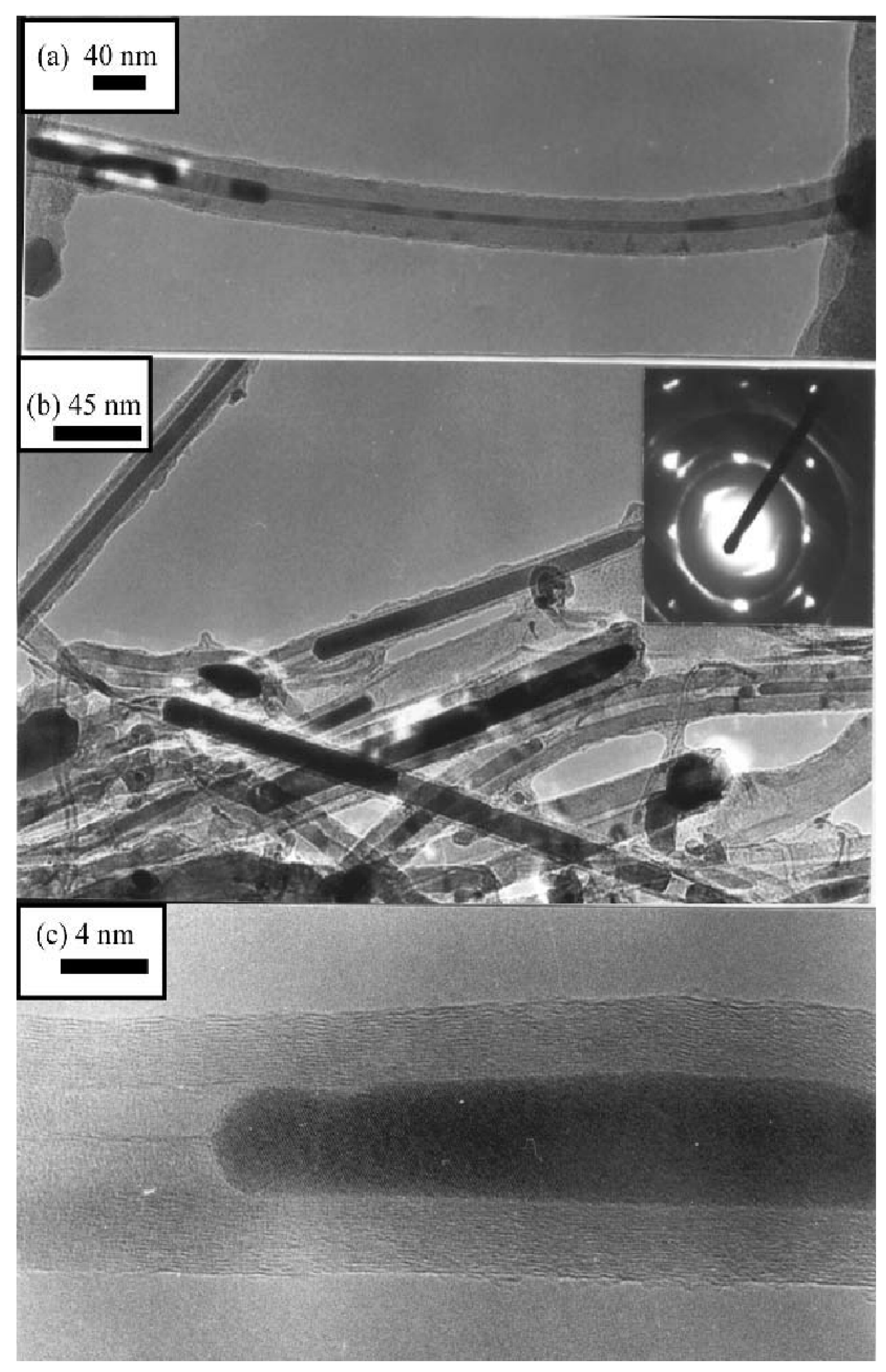 Preprints 76946 g006