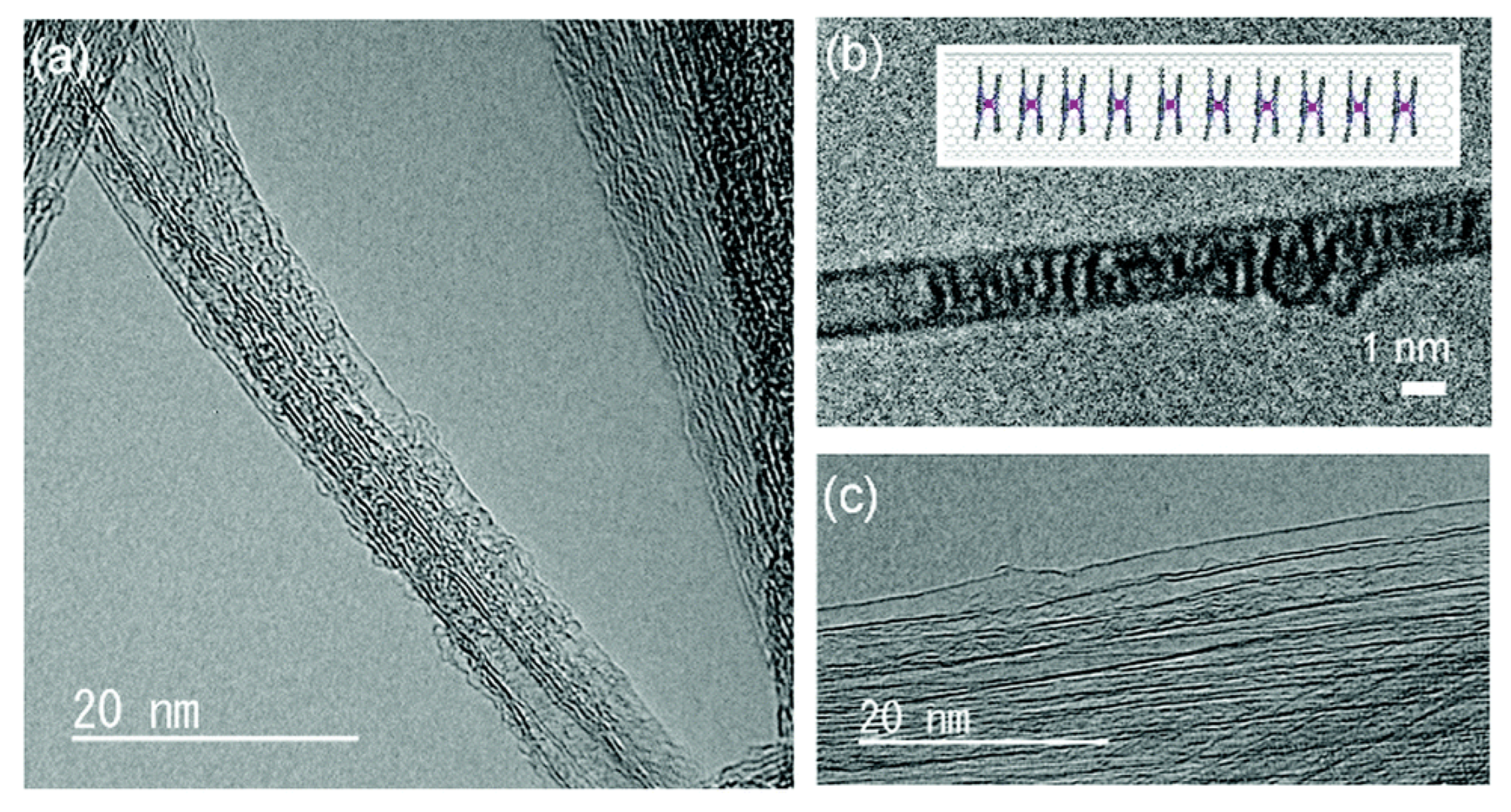 Preprints 76946 g010