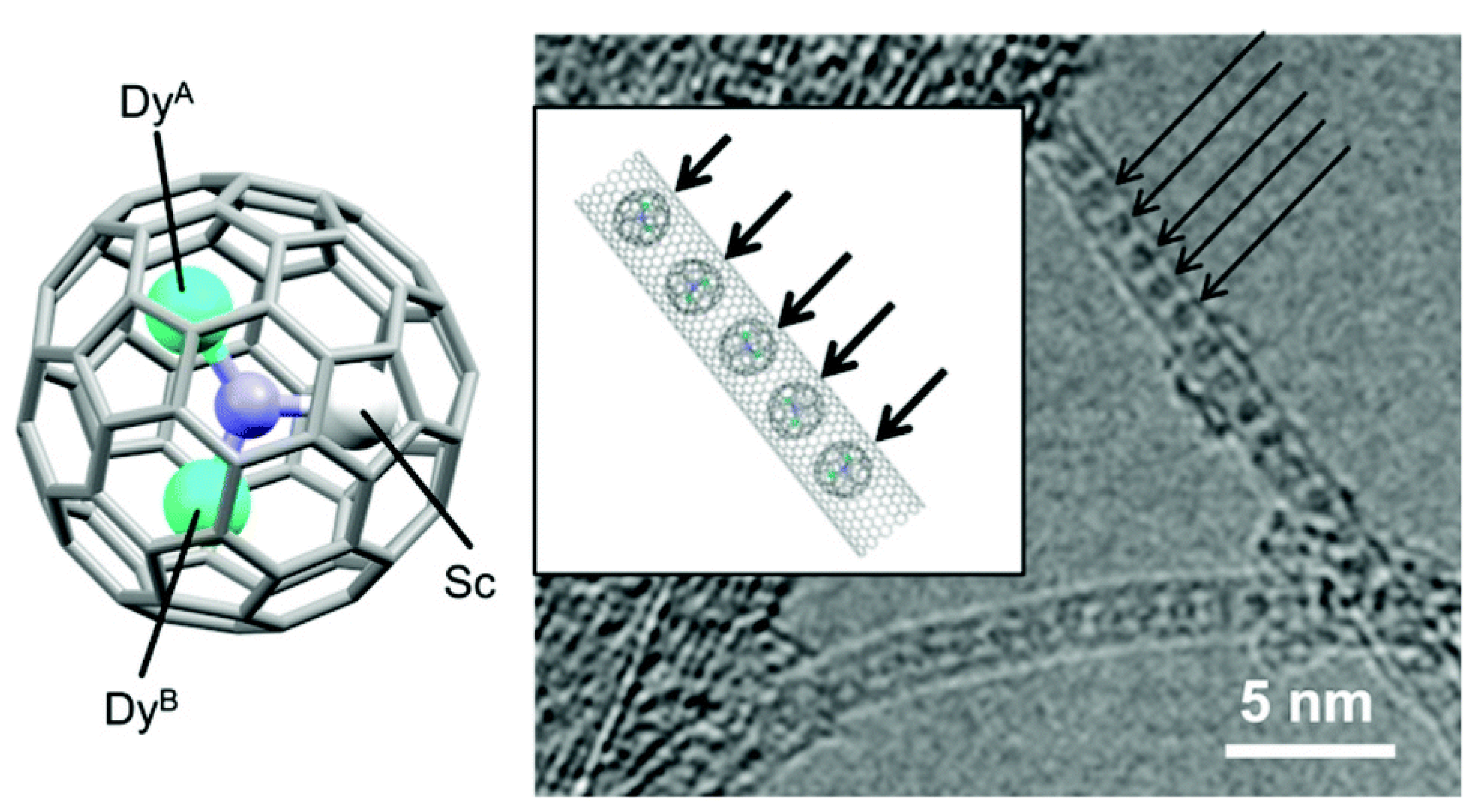 Preprints 76946 g011