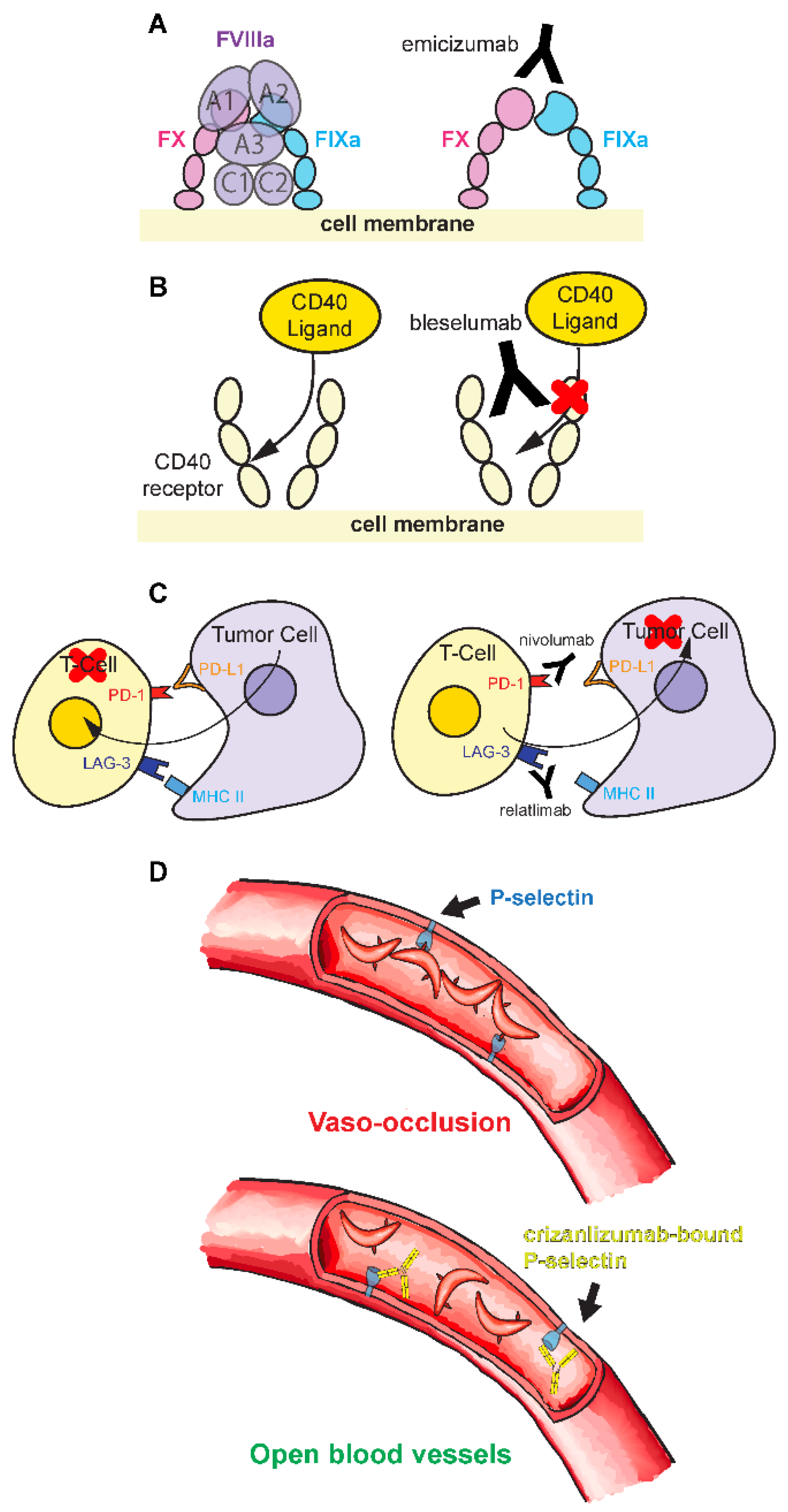Preprints 172305 g005