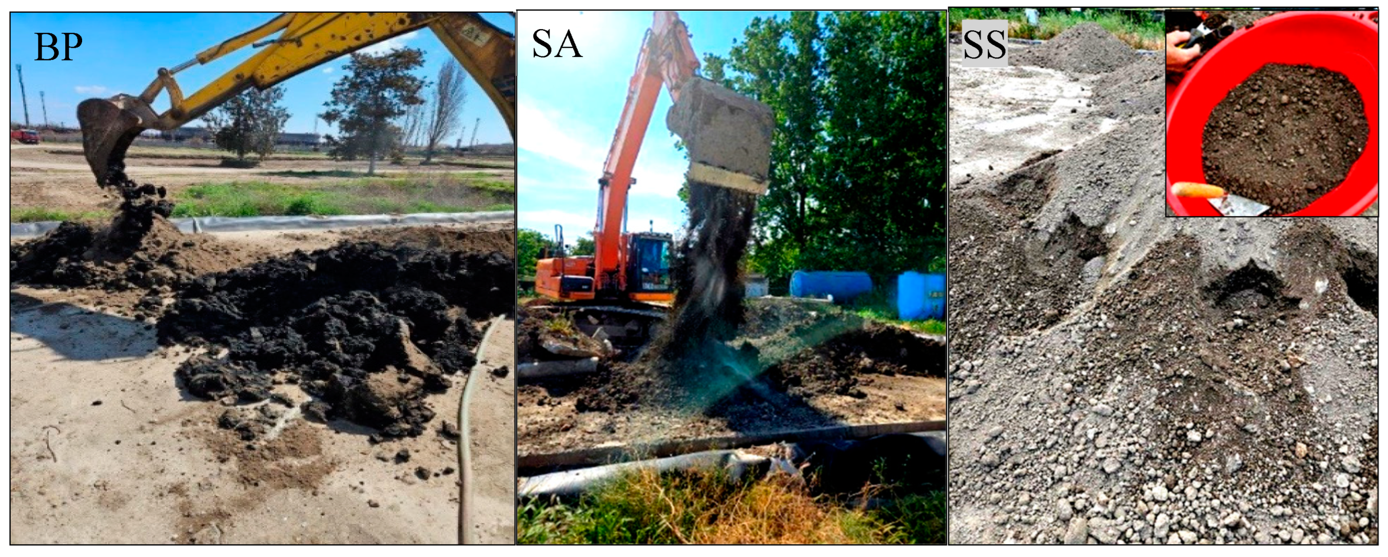 Preprints 141554 g001