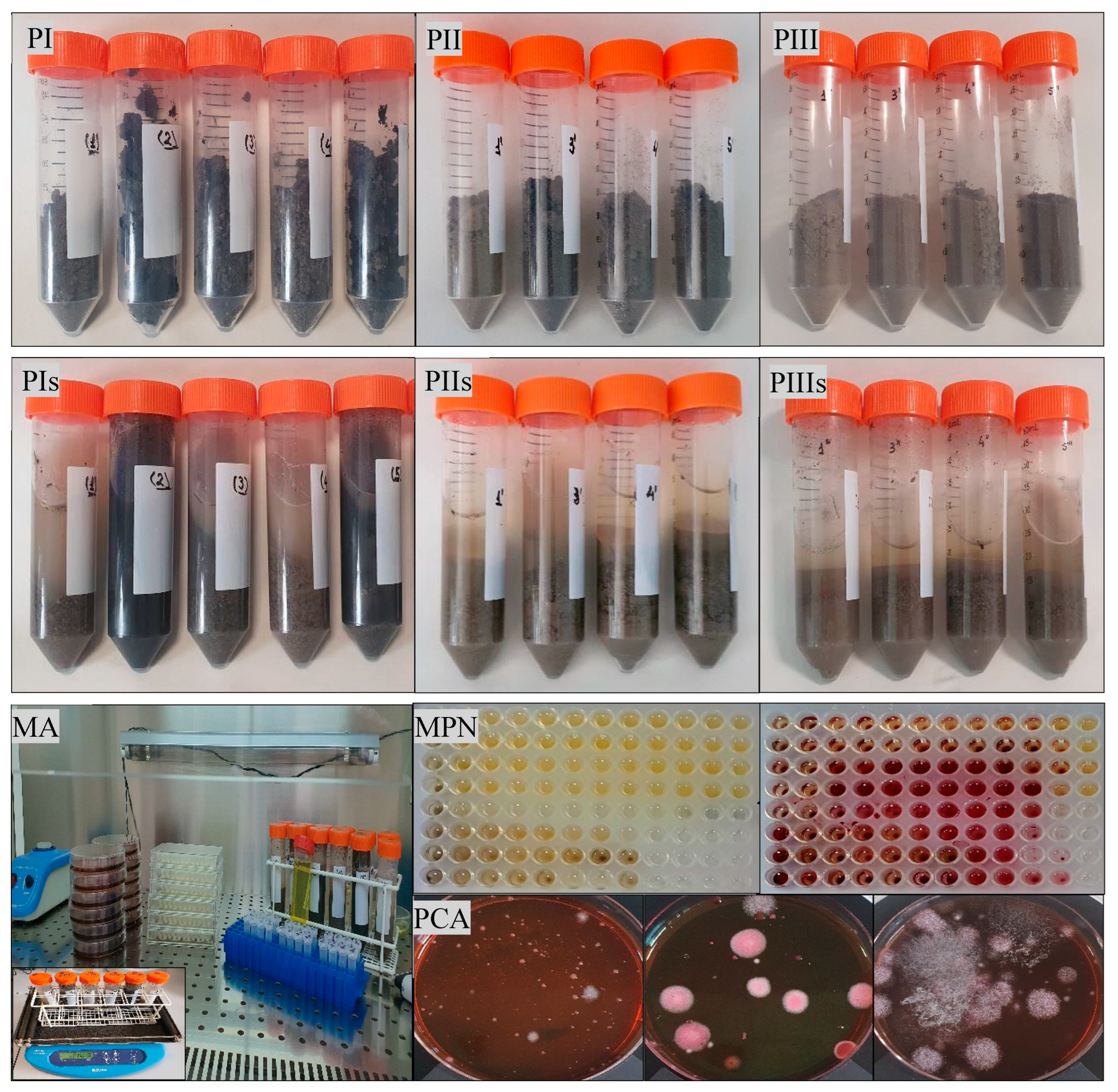 Preprints 141554 g004