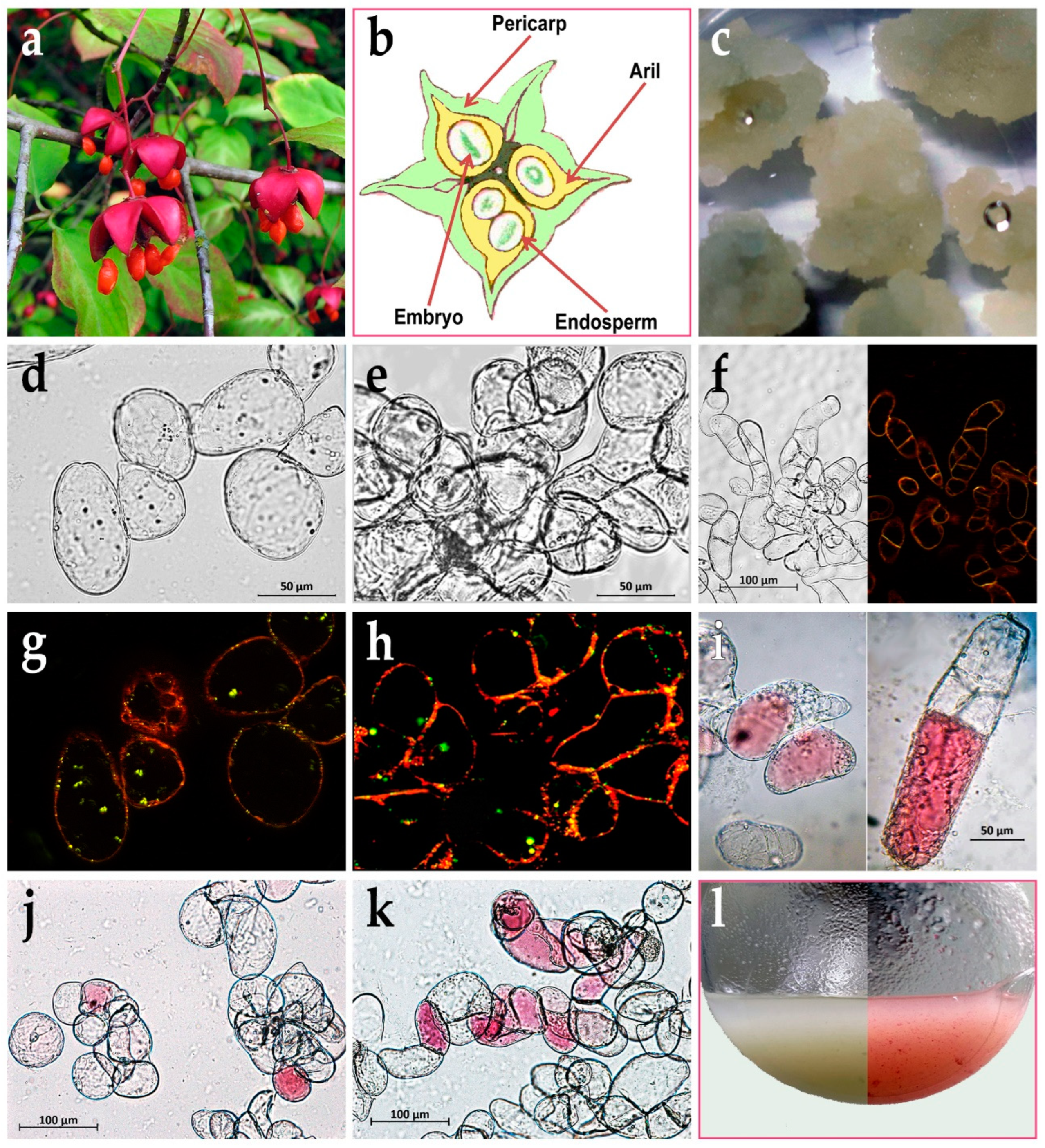 Preprints 92793 g001
