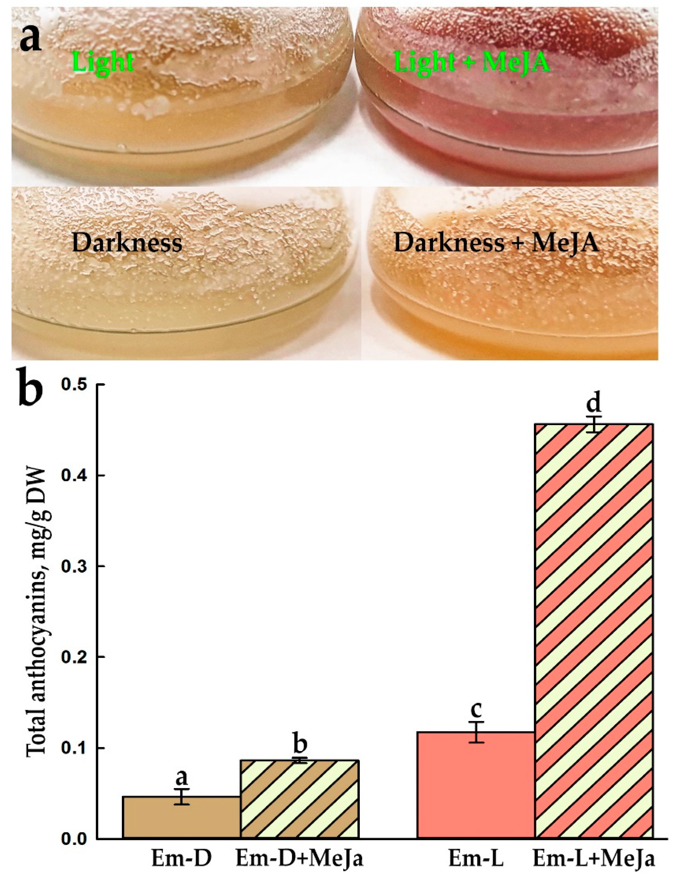 Preprints 92793 g009