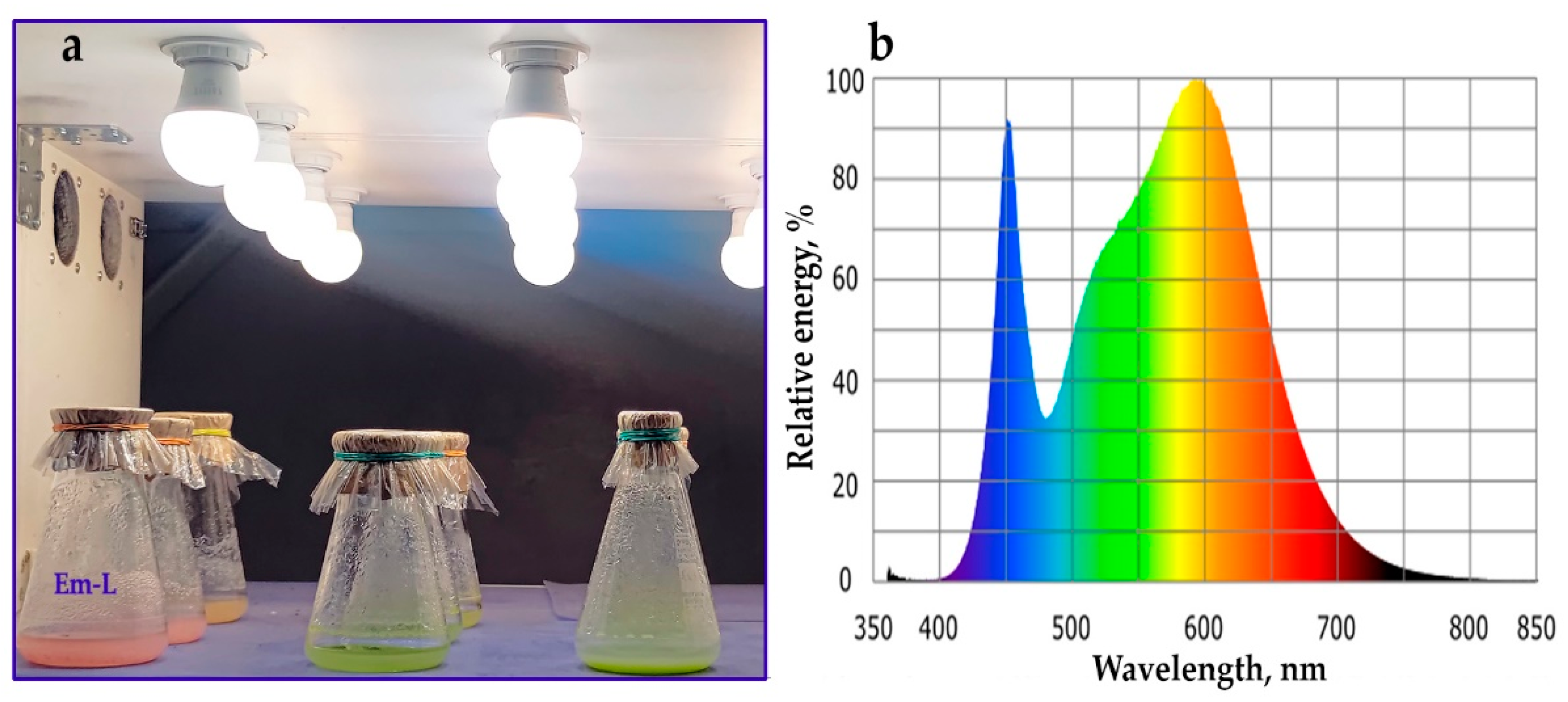 Preprints 92793 g0a1