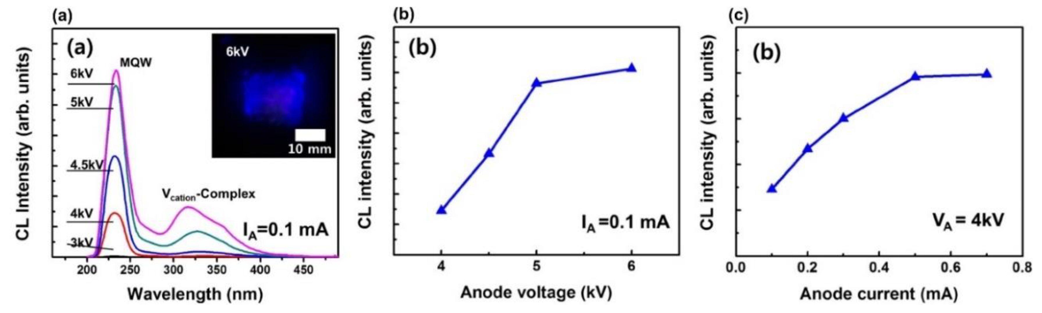 Preprints 77126 g017