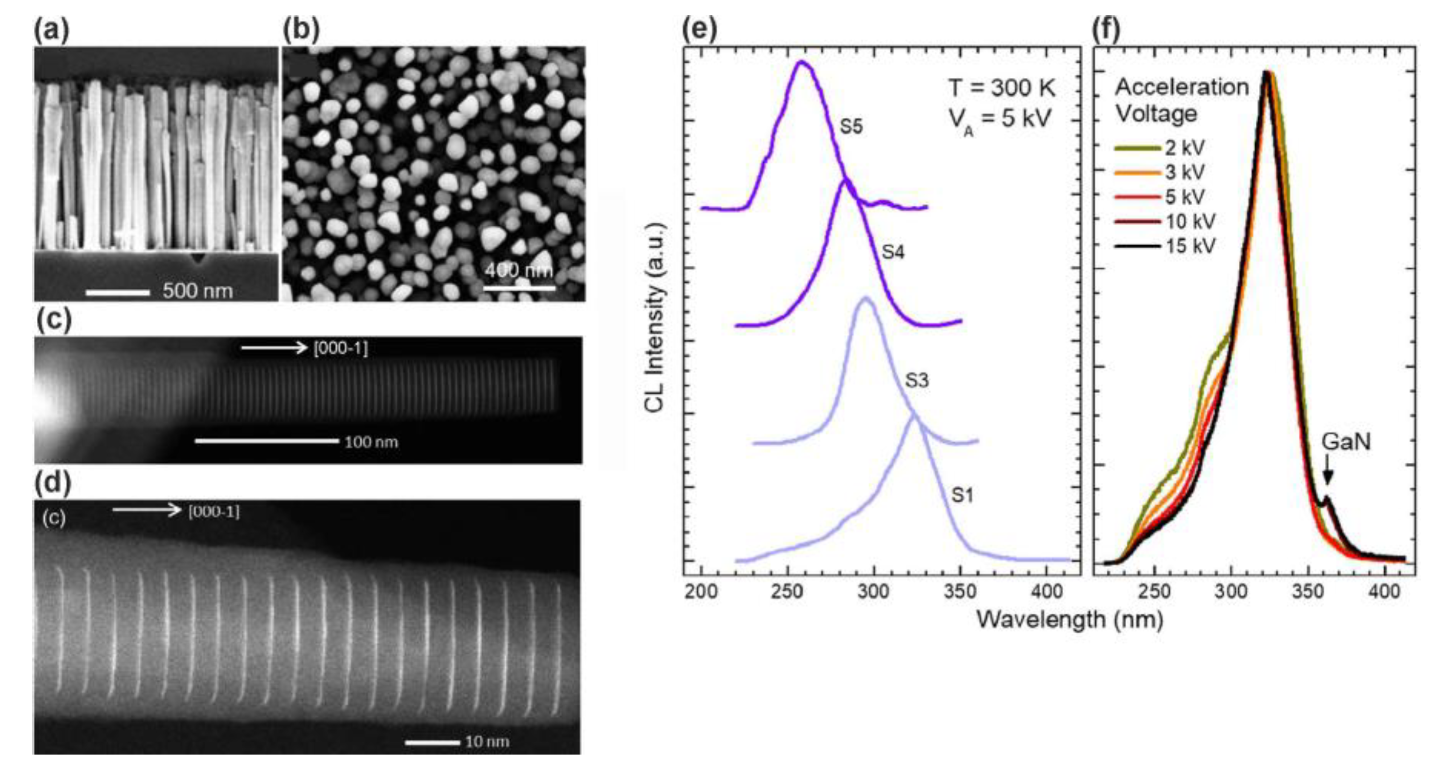 Preprints 77126 g021