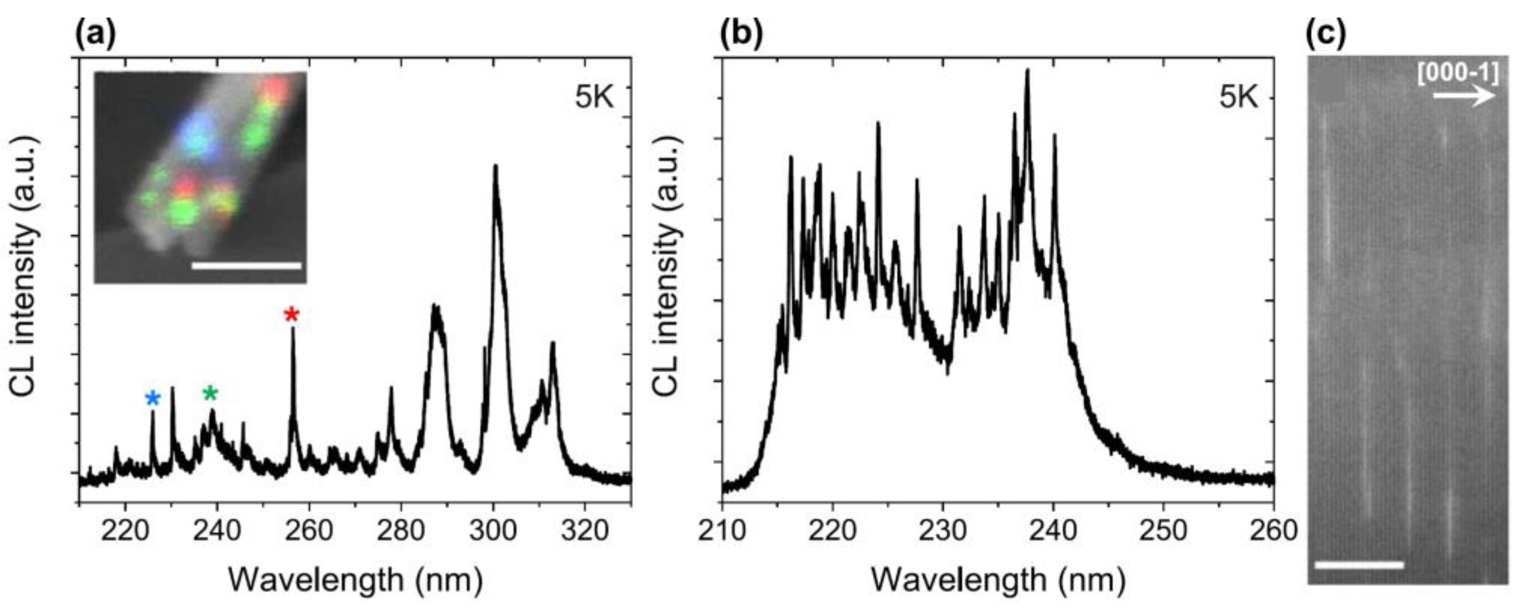 Preprints 77126 g024
