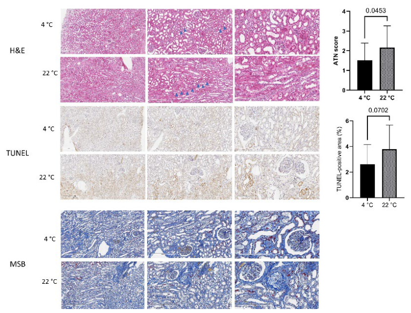 Preprints 220391 g003