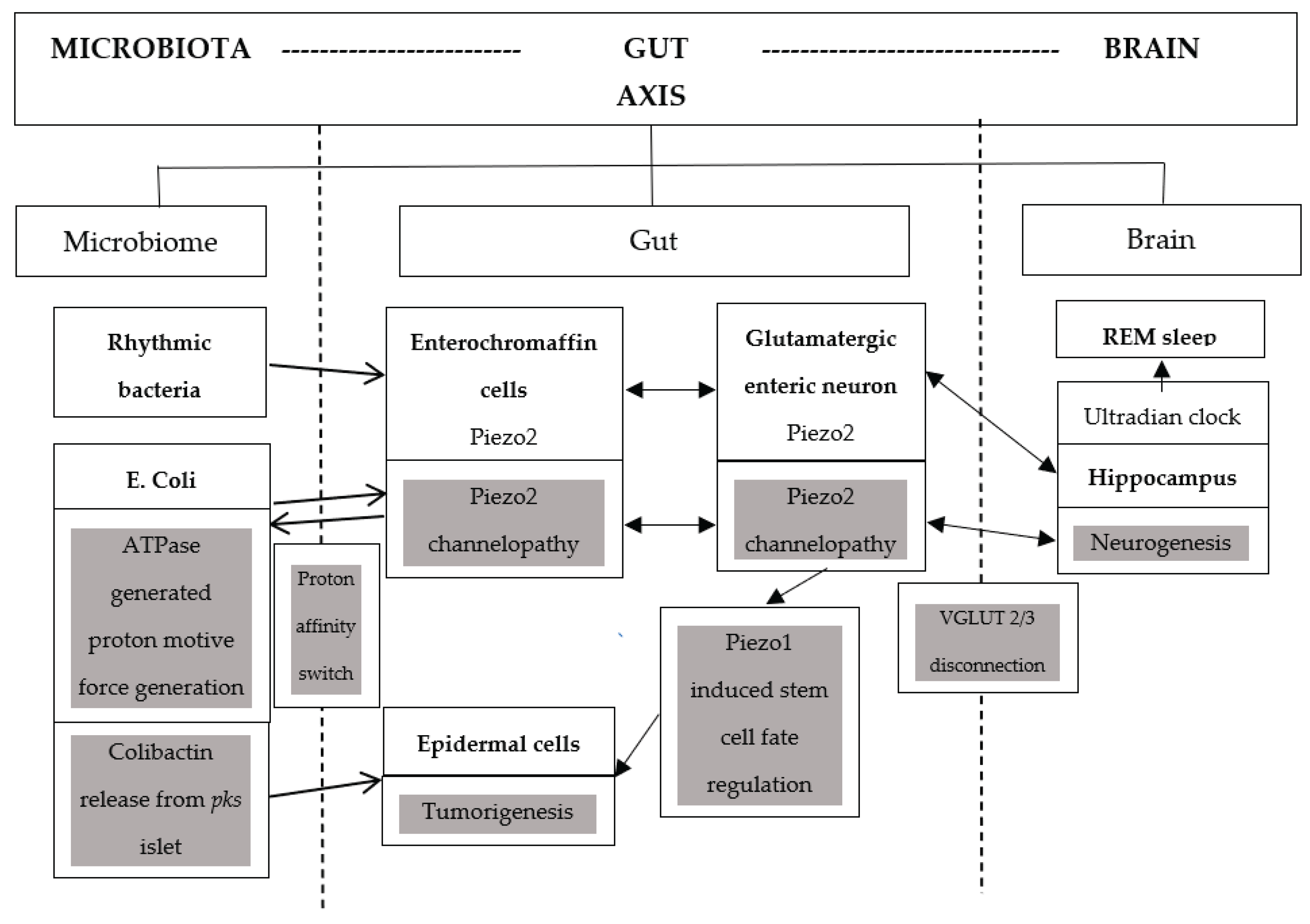 Preprints 169324 g001