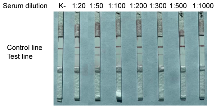 Preprints 223174 g004