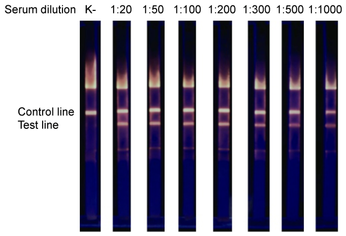 Preprints 223174 g005
