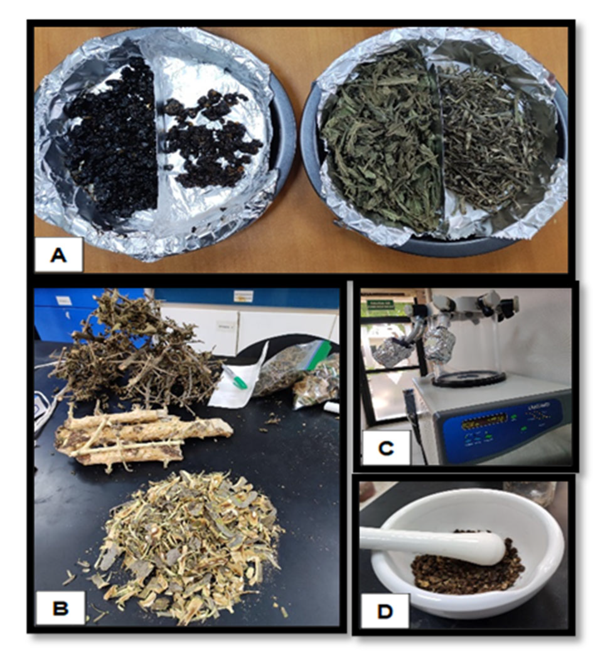 Preprints 158624 g003