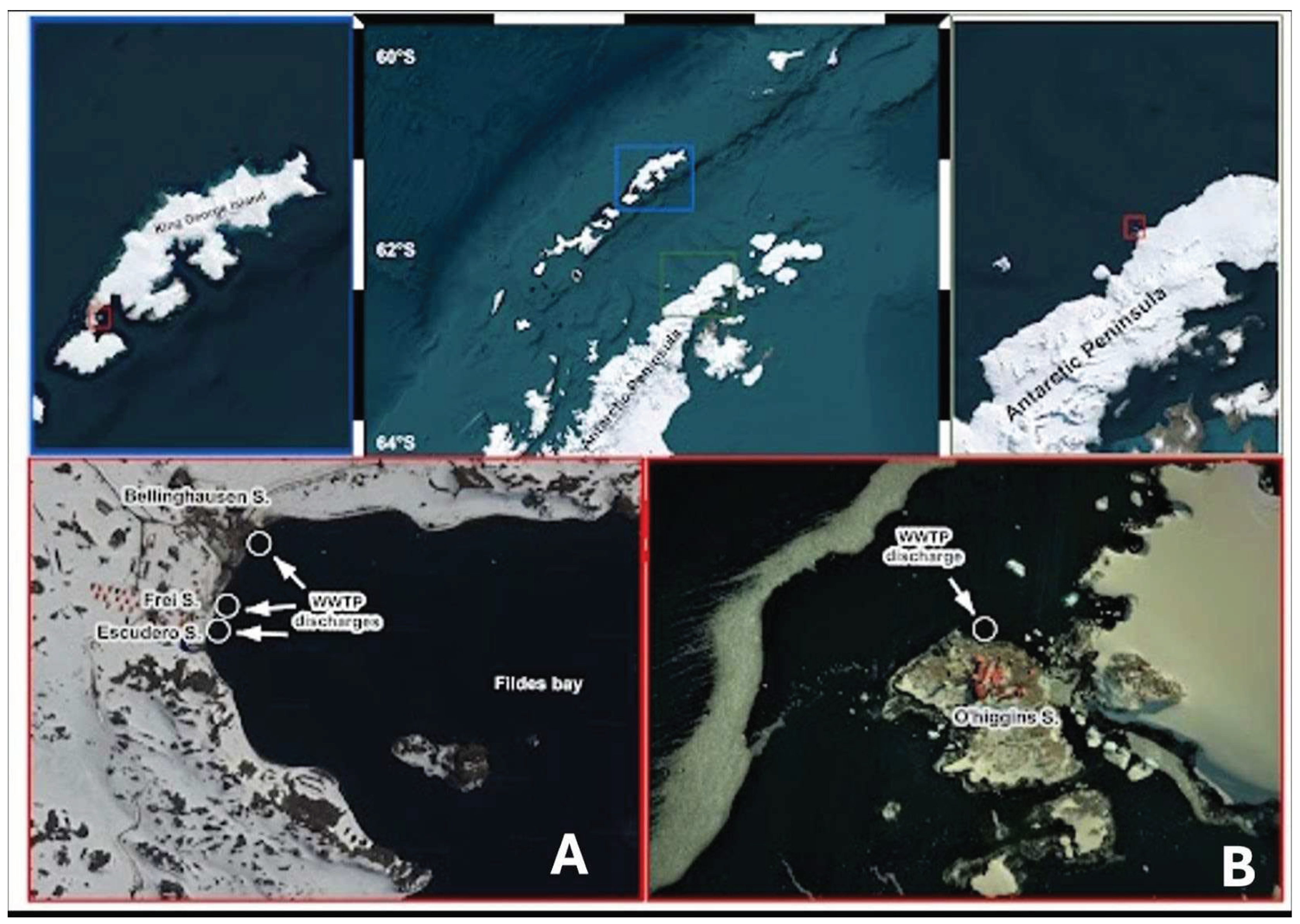 Preprints 98080 g001