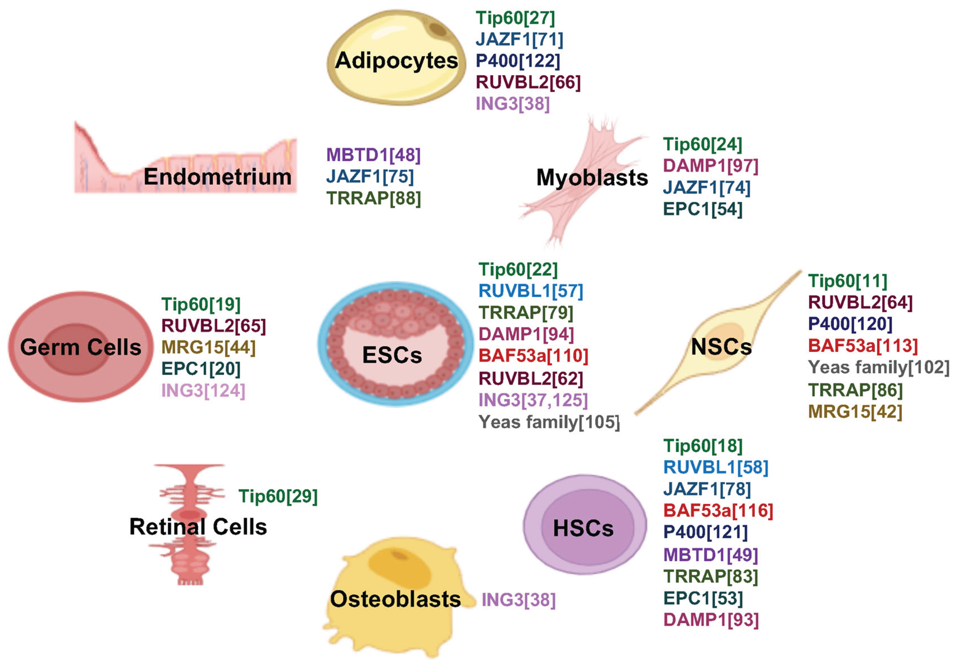 Preprints 175557 g002