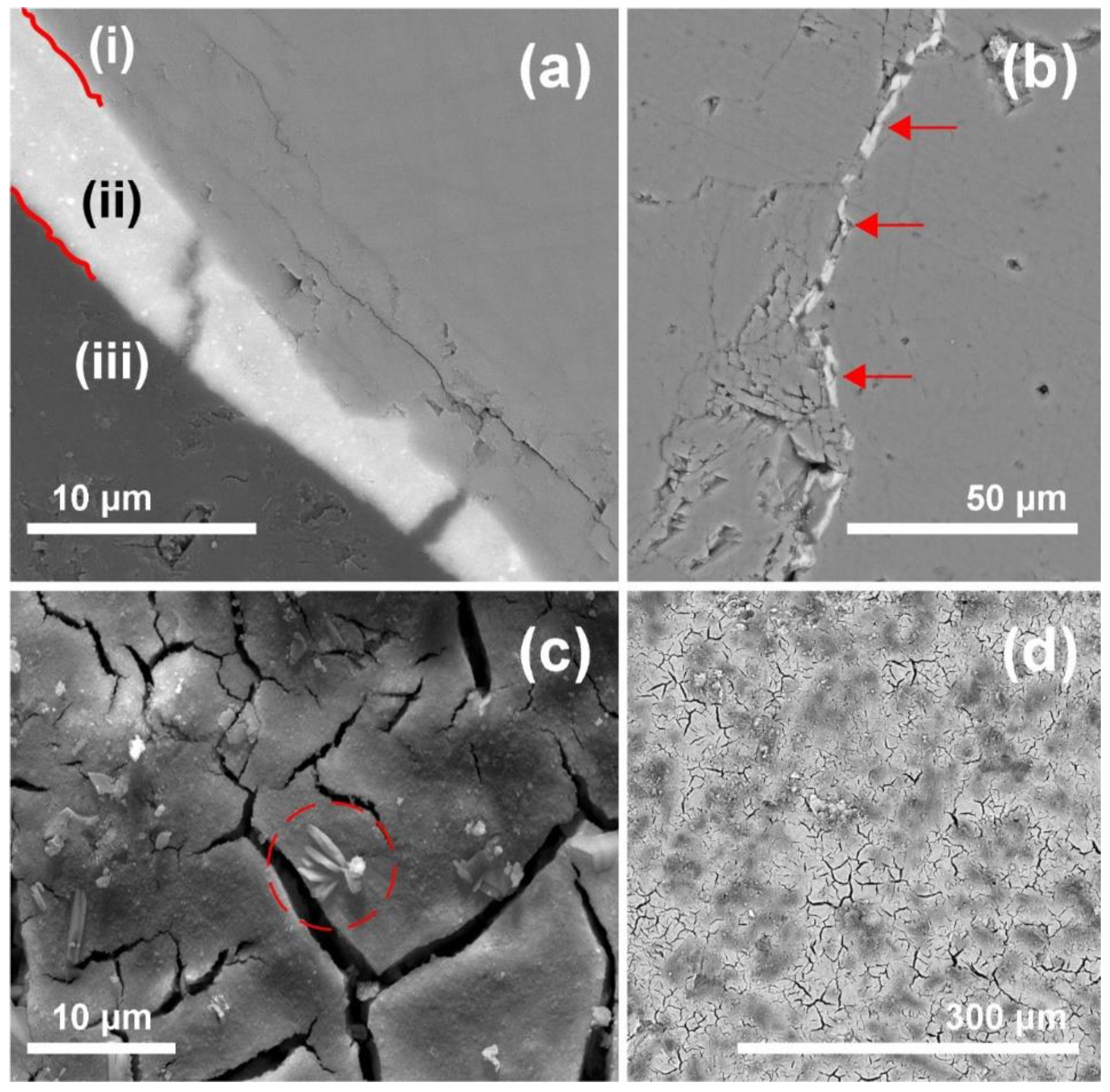 Preprints 142735 g004