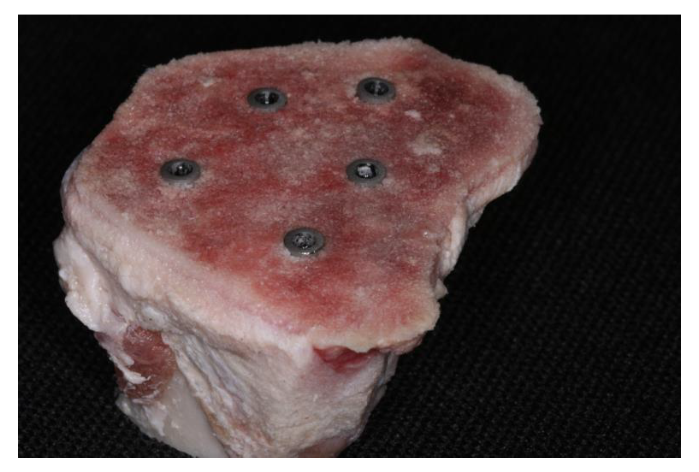 Preprints 72838 g002