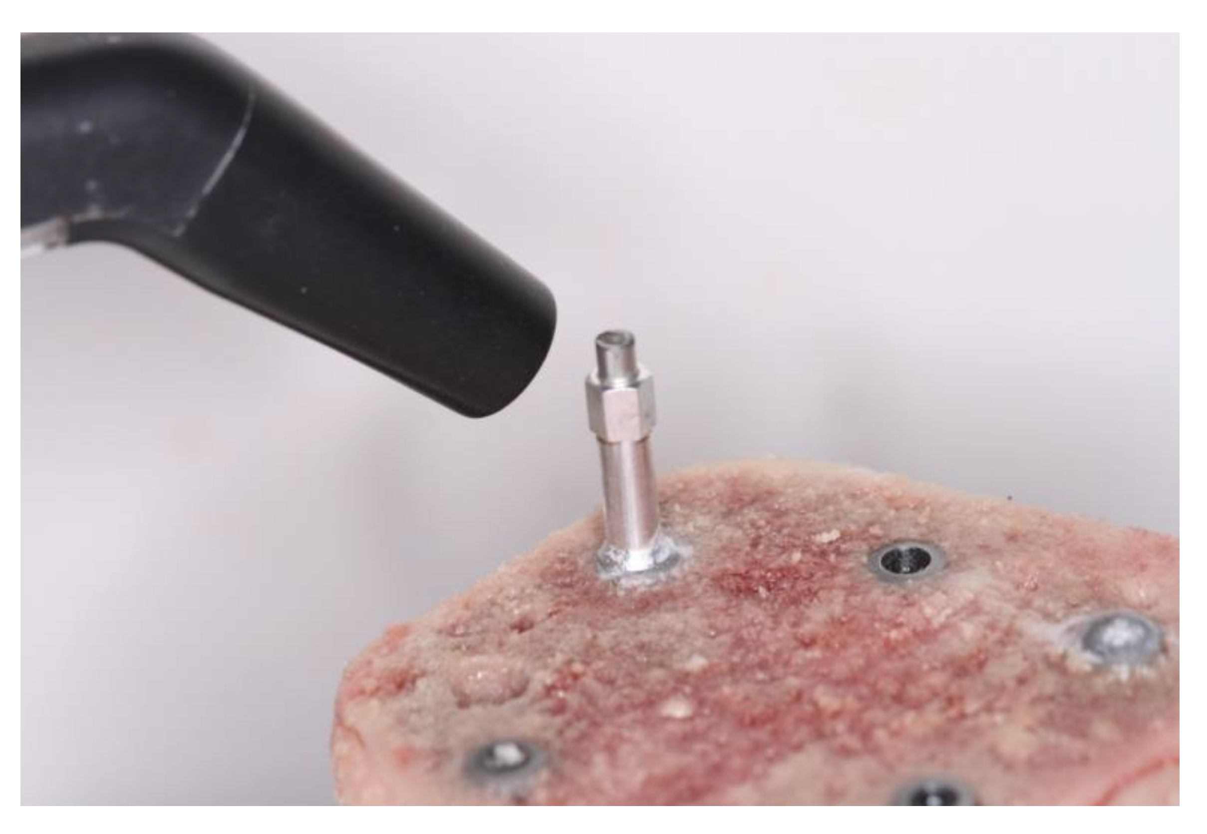 Preprints 72838 g003