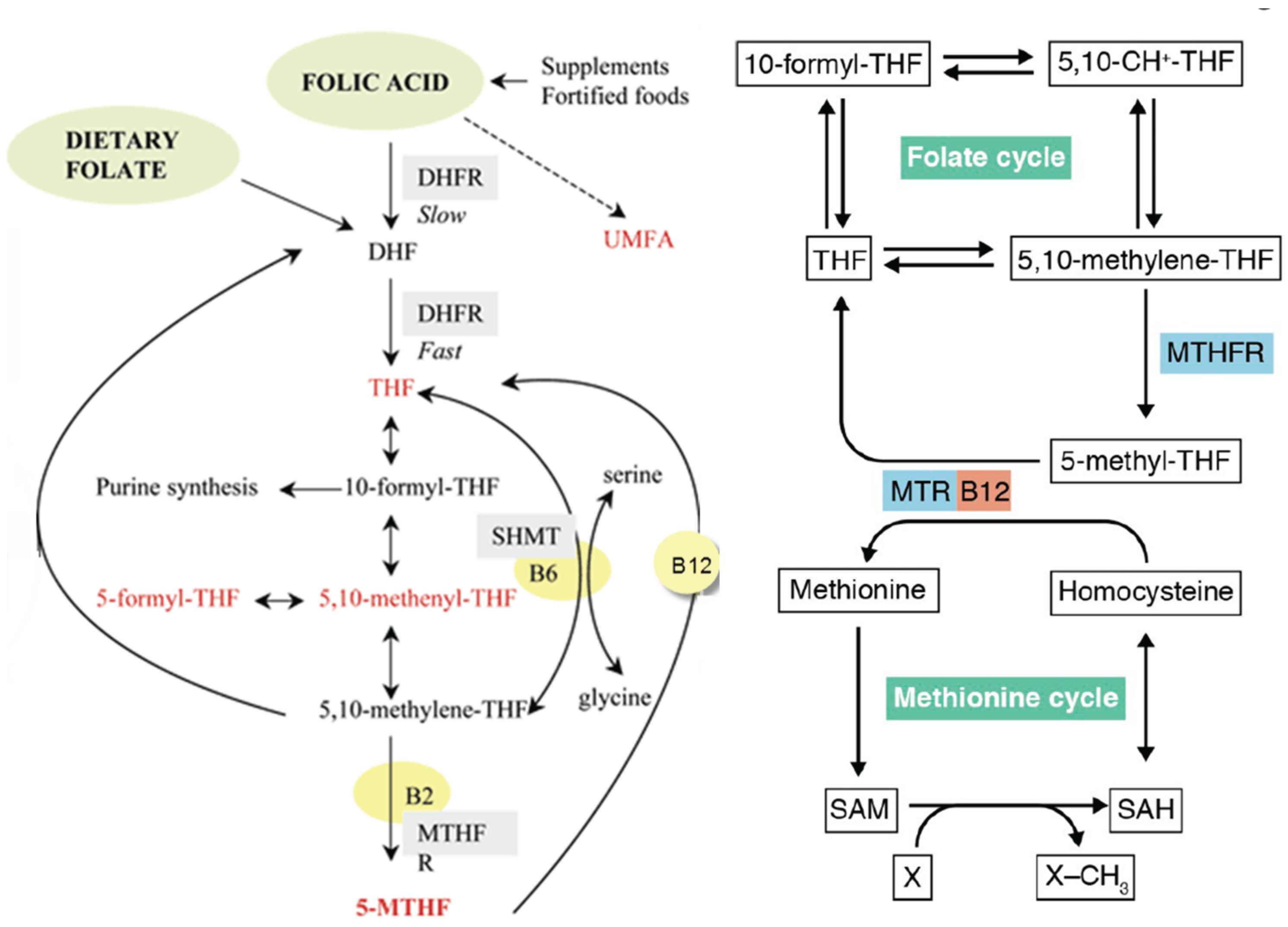 Preprints 172992 g001