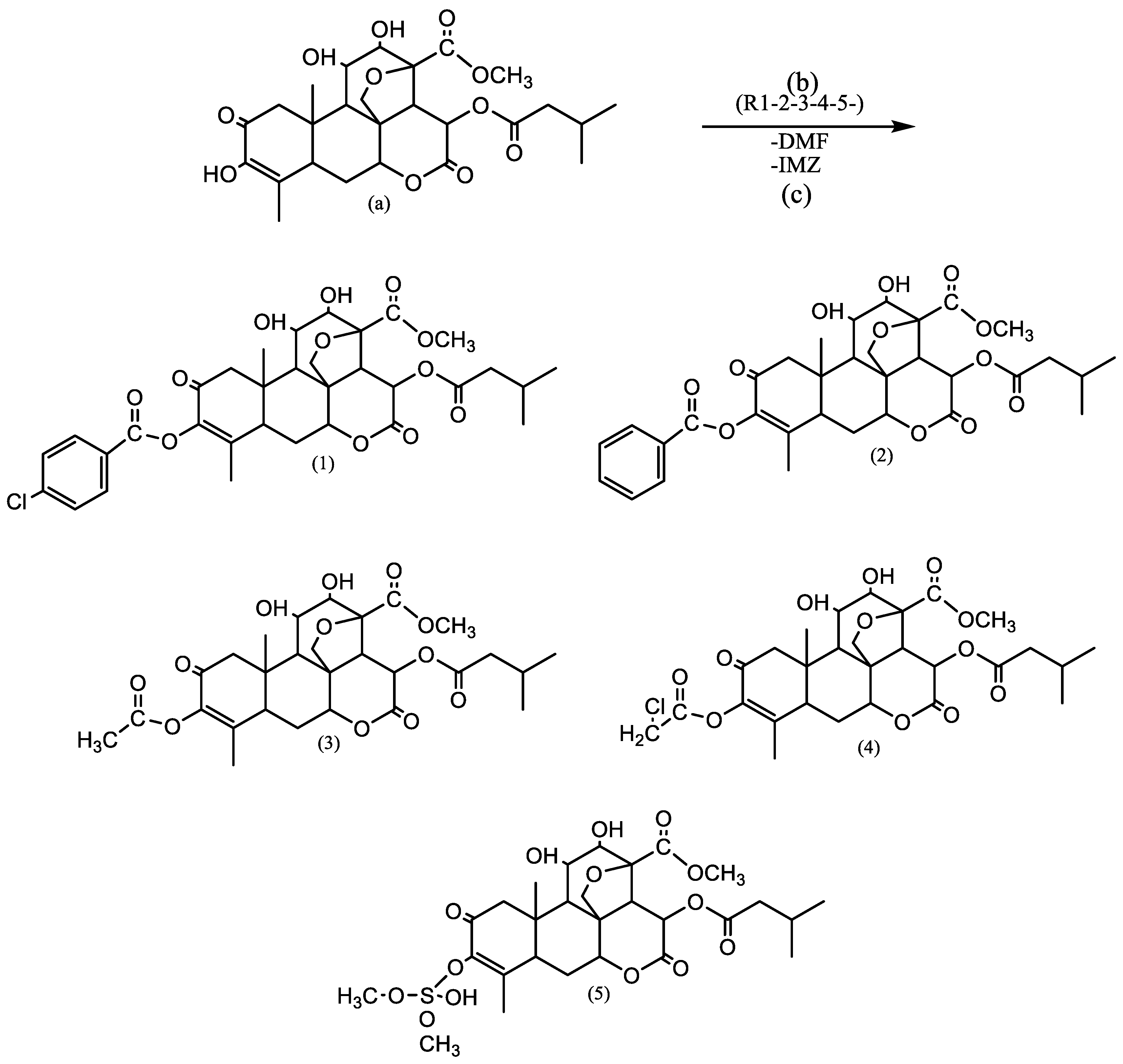Preprints 201884 g005