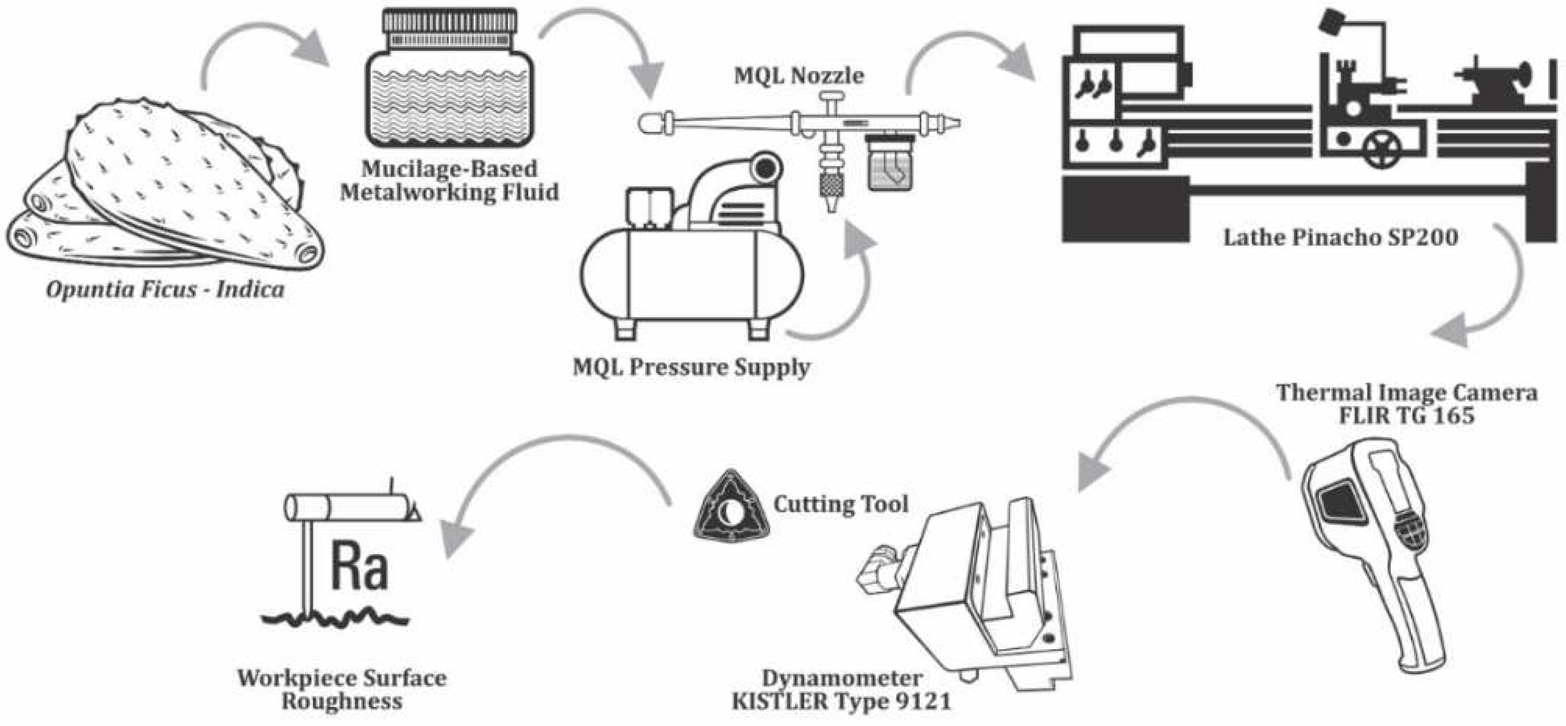 Preprints 97443 g002