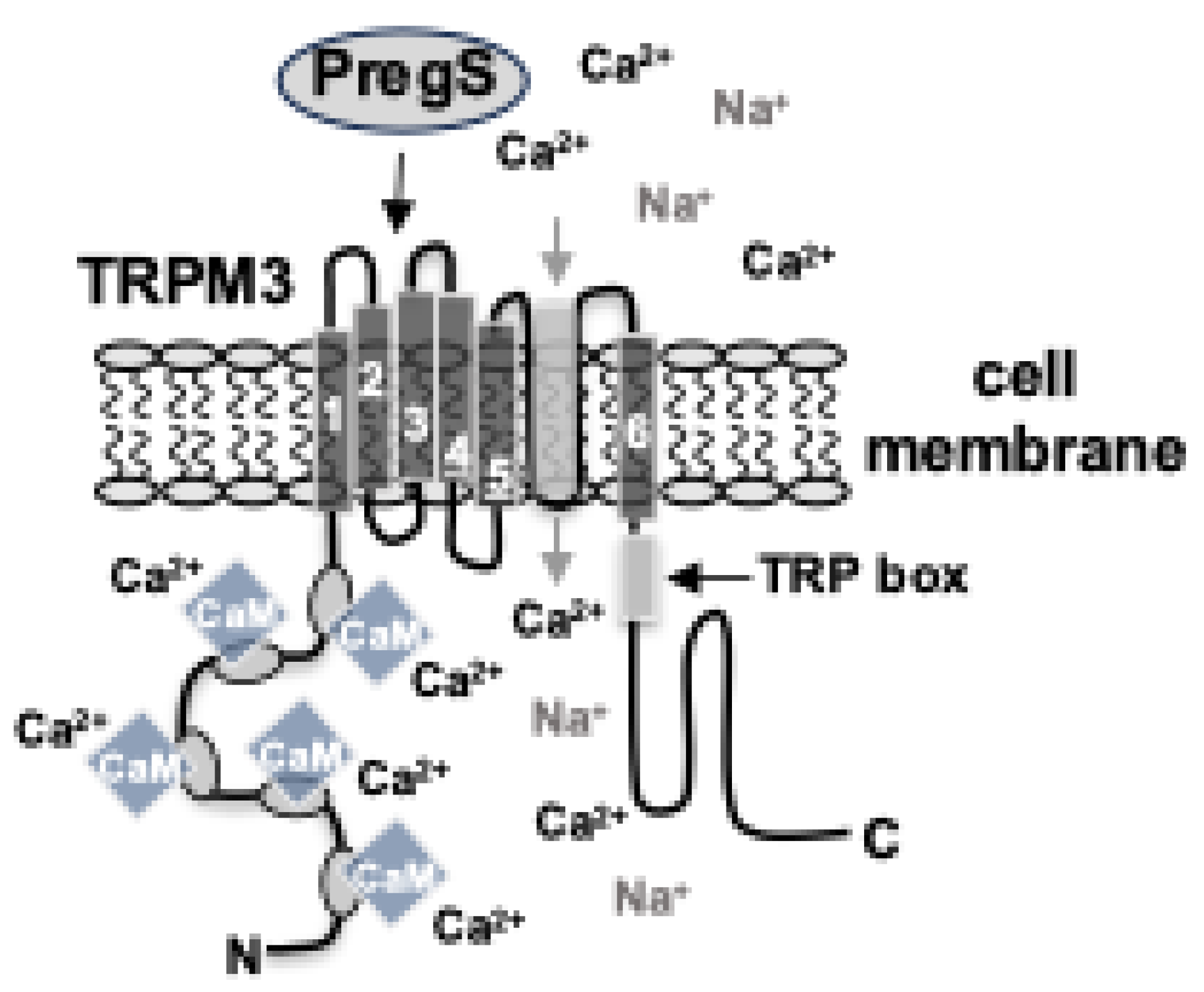 Preprints 146709 g001