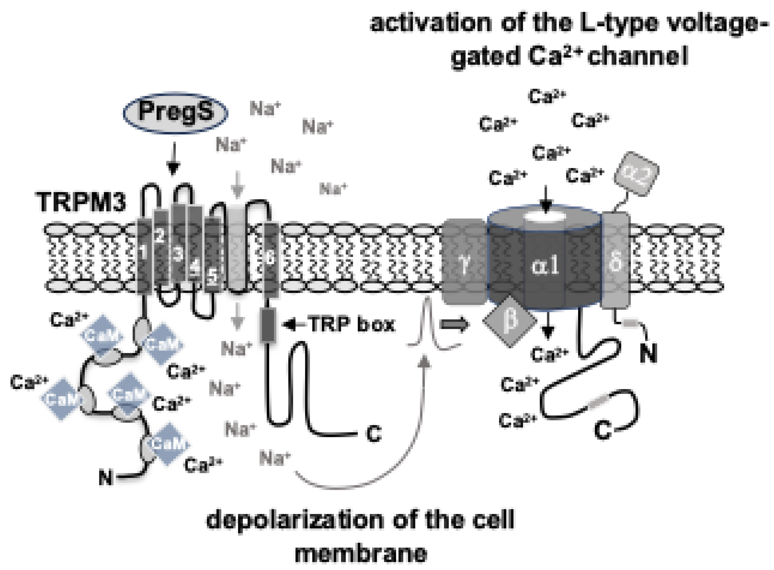 Preprints 146709 g002