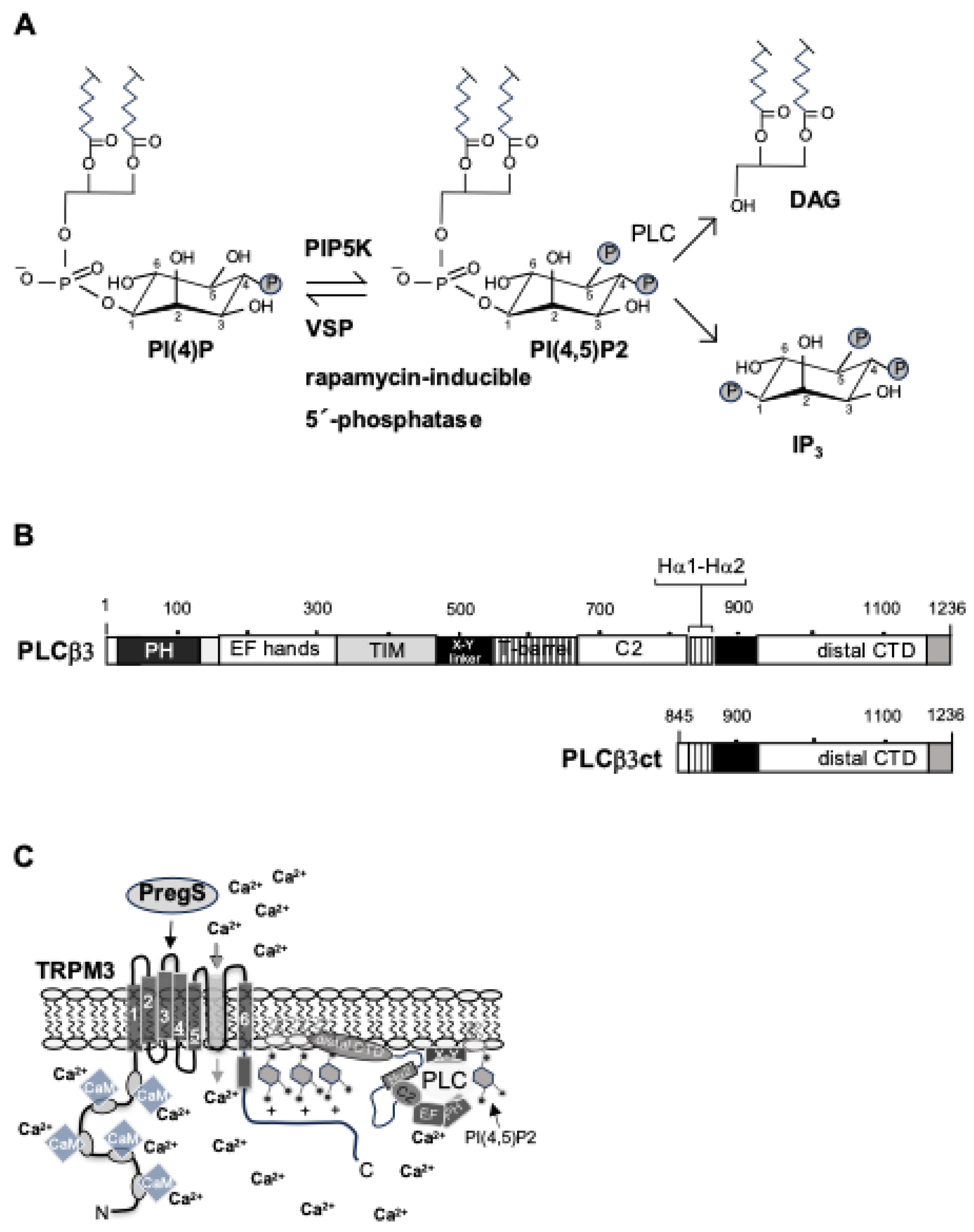 Preprints 146709 g003