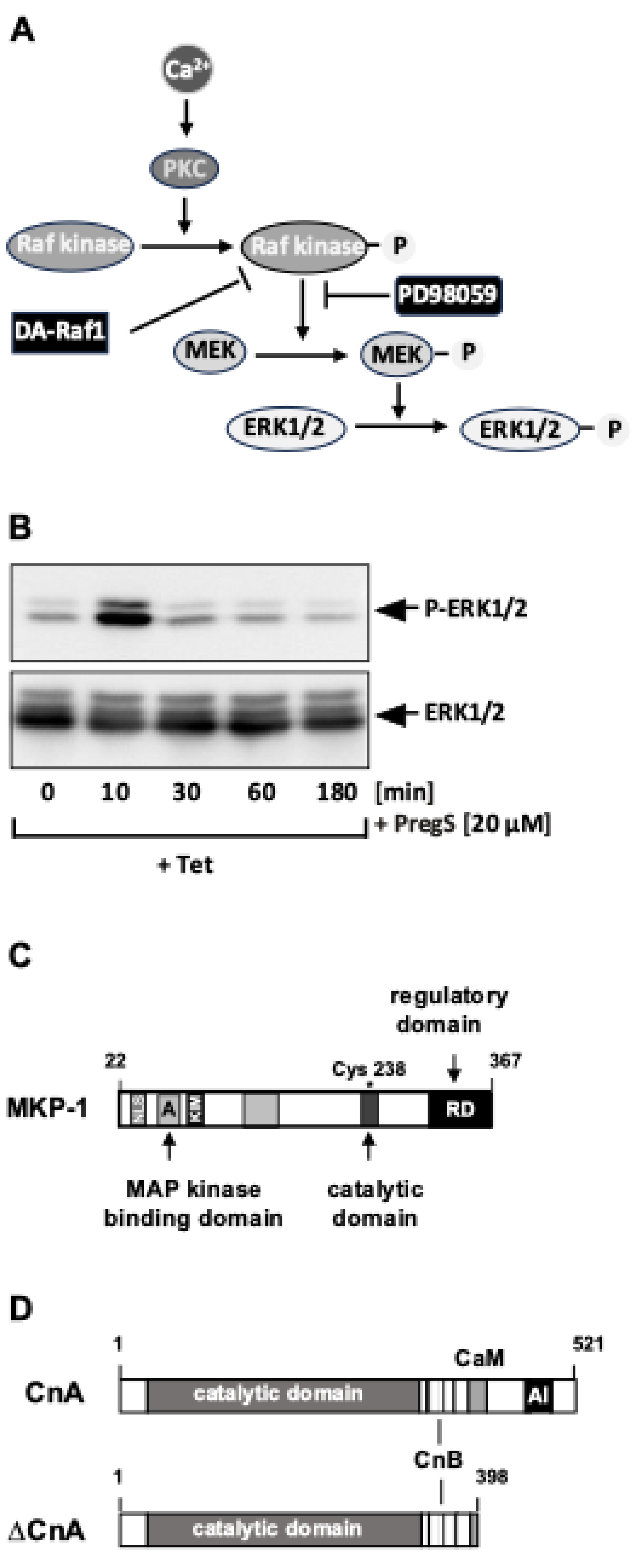 Preprints 146709 g004