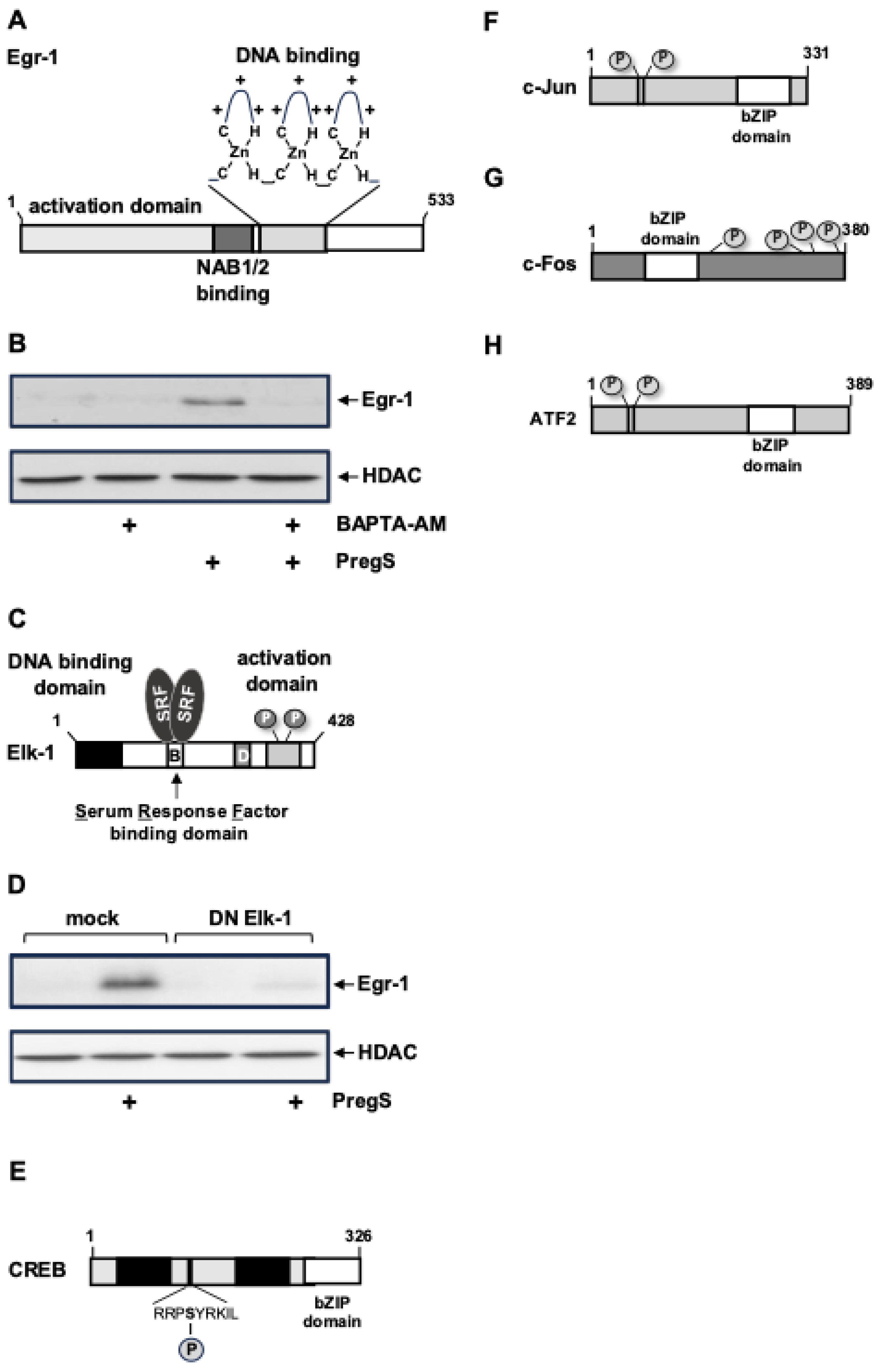 Preprints 146709 g005