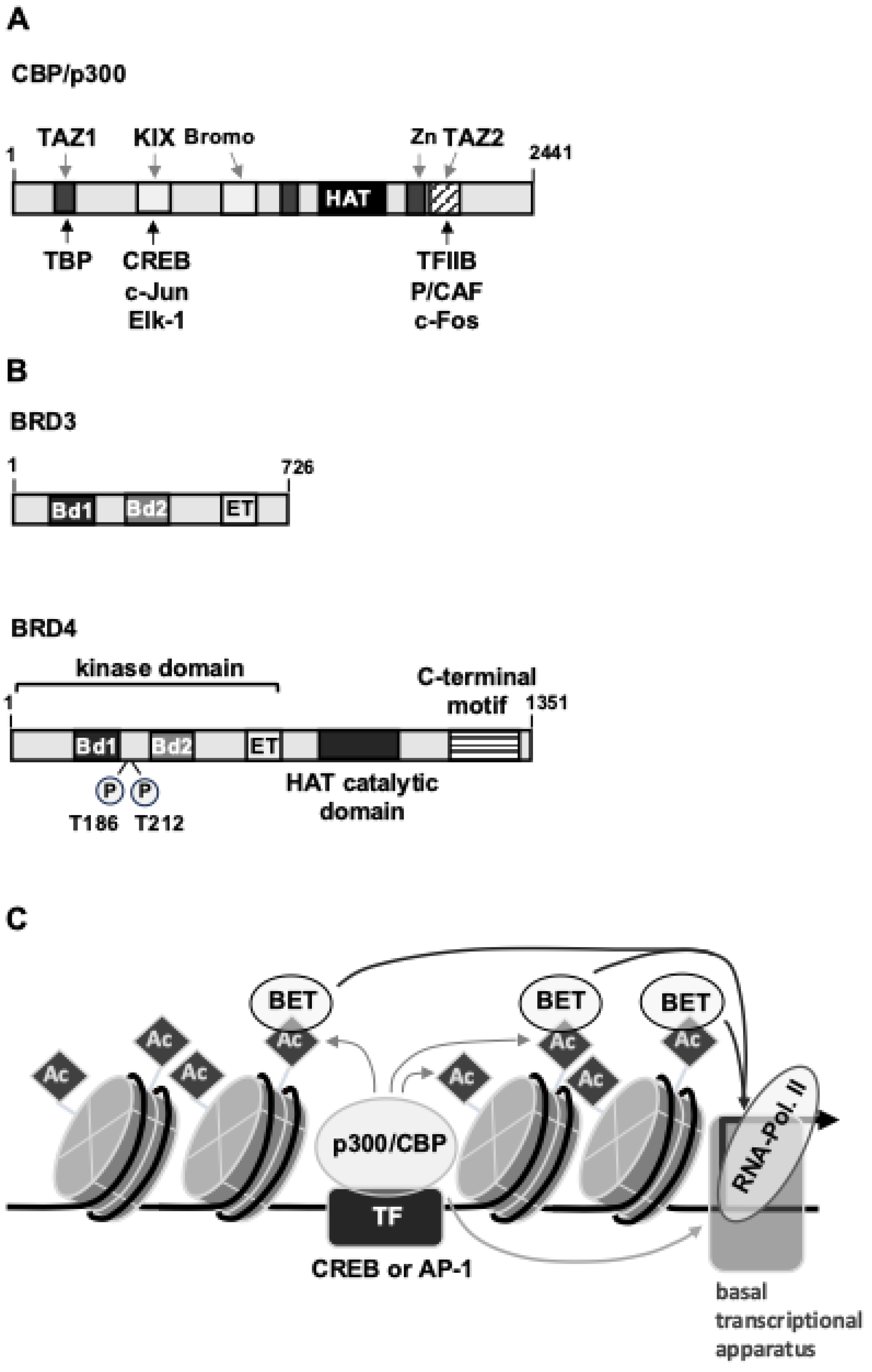 Preprints 146709 g006