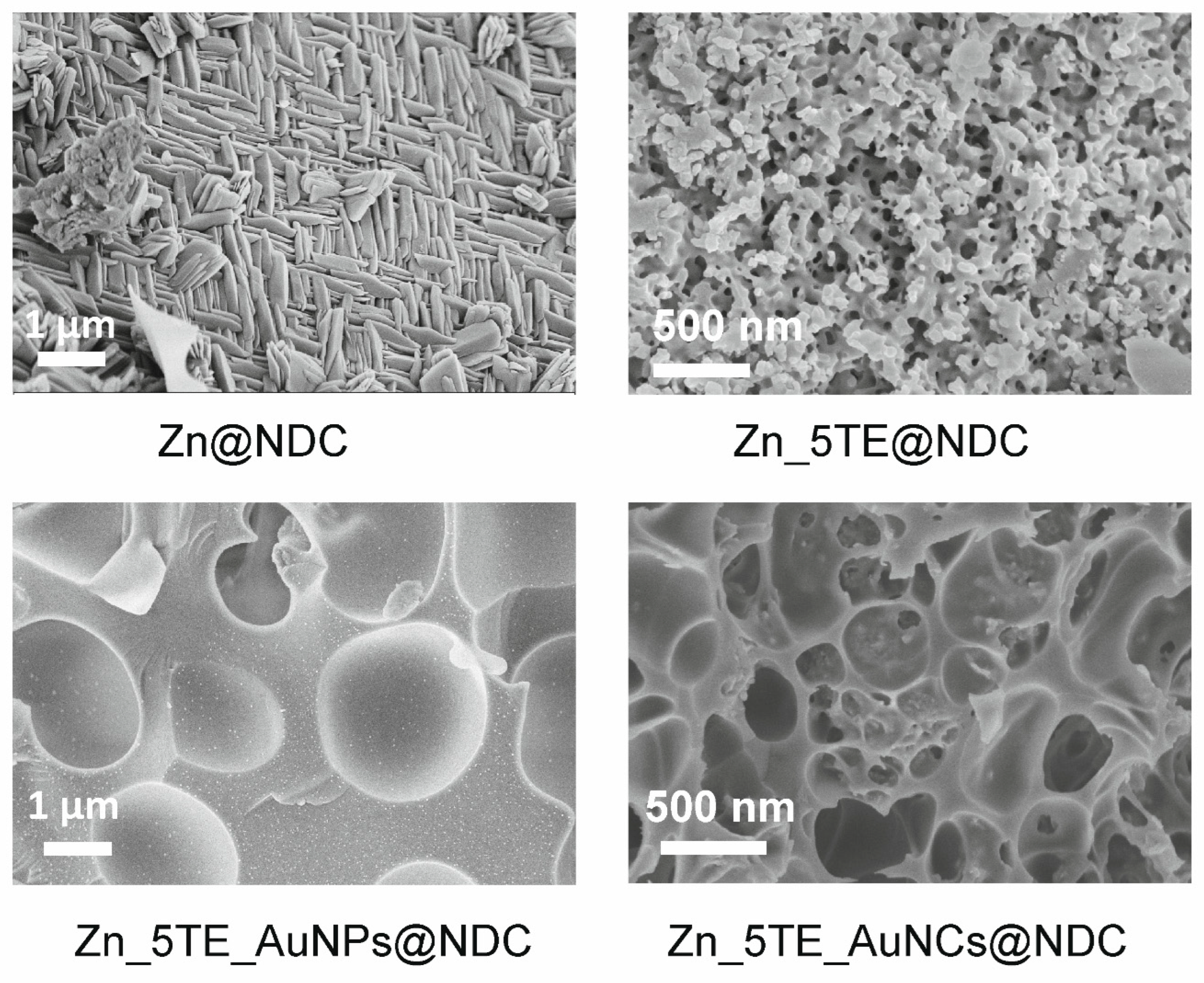 Preprints 185150 g002